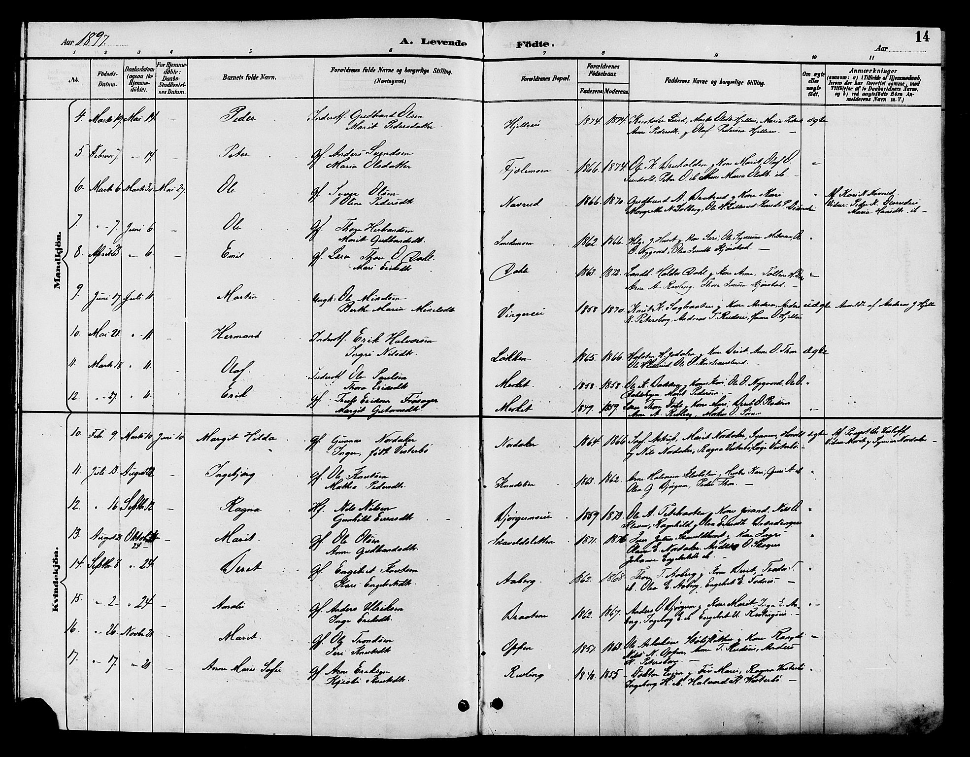 Nord-Aurdal prestekontor, AV/SAH-PREST-132/H/Ha/Hab/L0010: Parish register (copy) no. 10, 1892-1907, p. 14