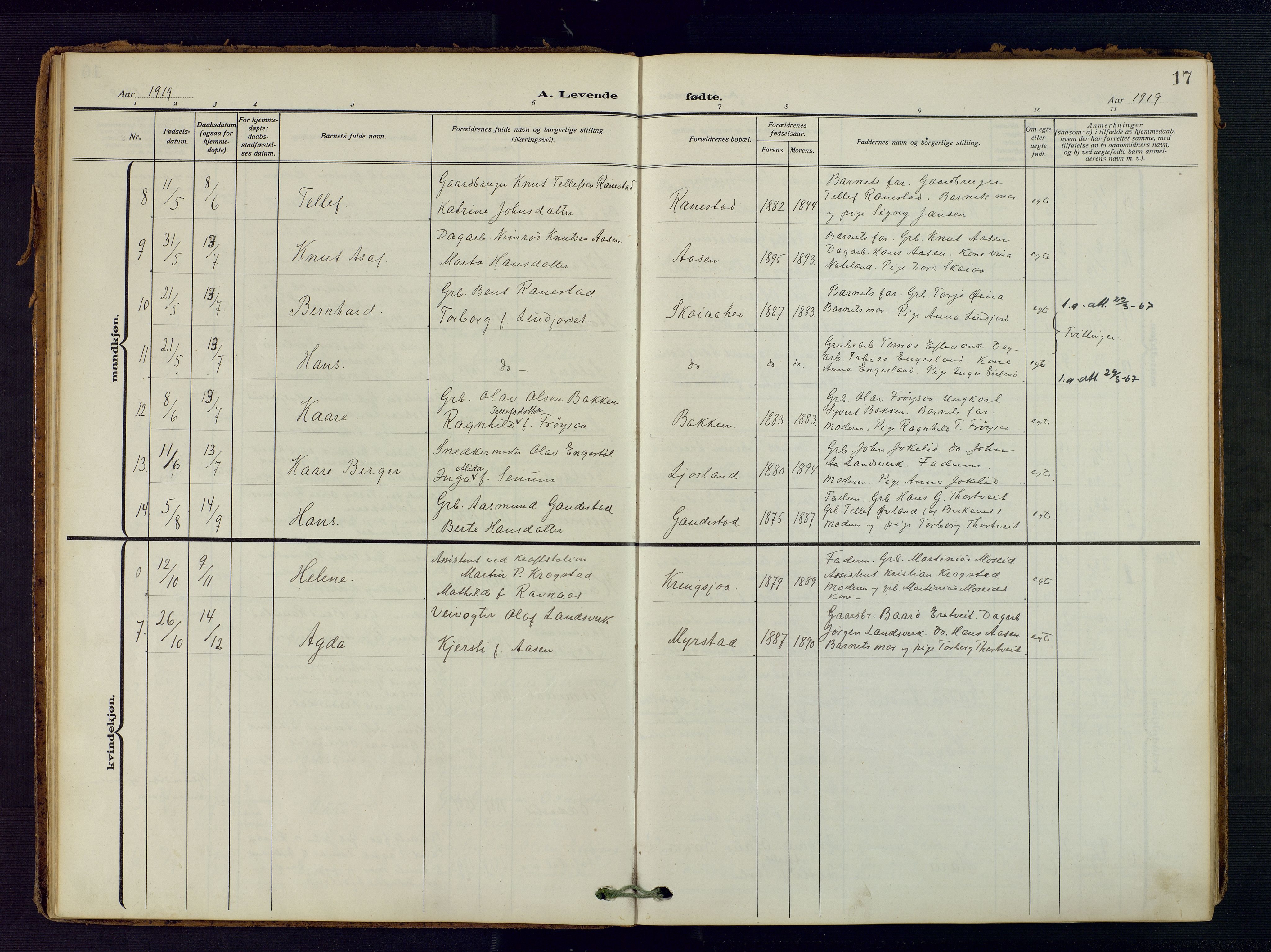 Evje sokneprestkontor, AV/SAK-1111-0008/F/Fa/Fac/L0004: Parish register (official) no. A 4, 1910-1932, p. 17