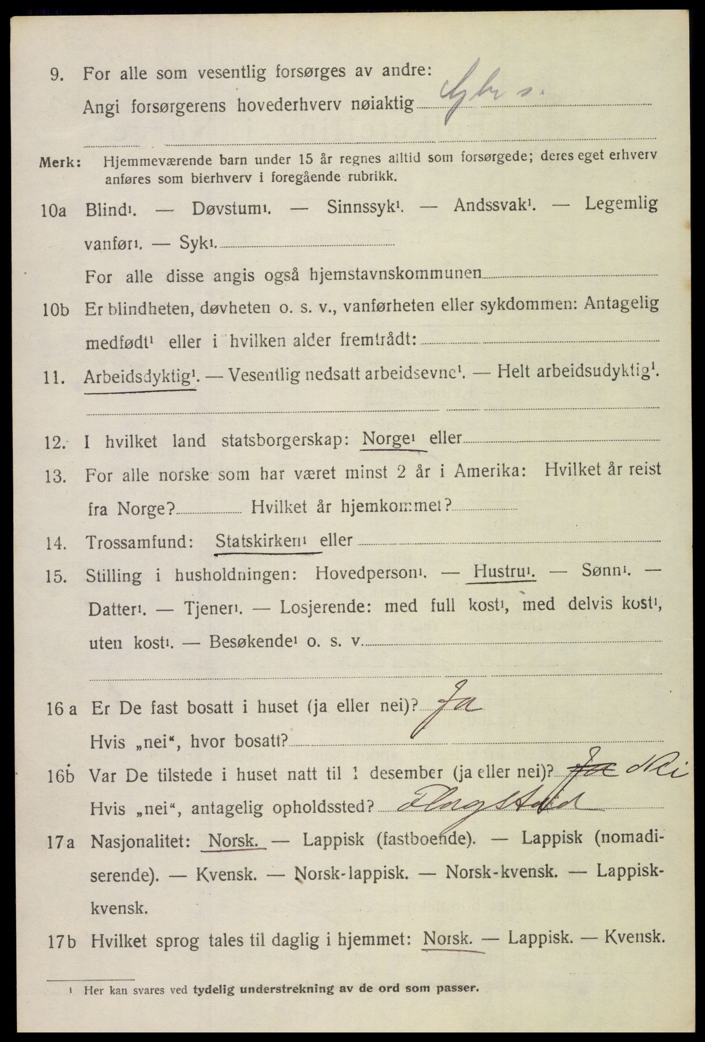 SAT, 1920 census for Borge, 1920, p. 5406