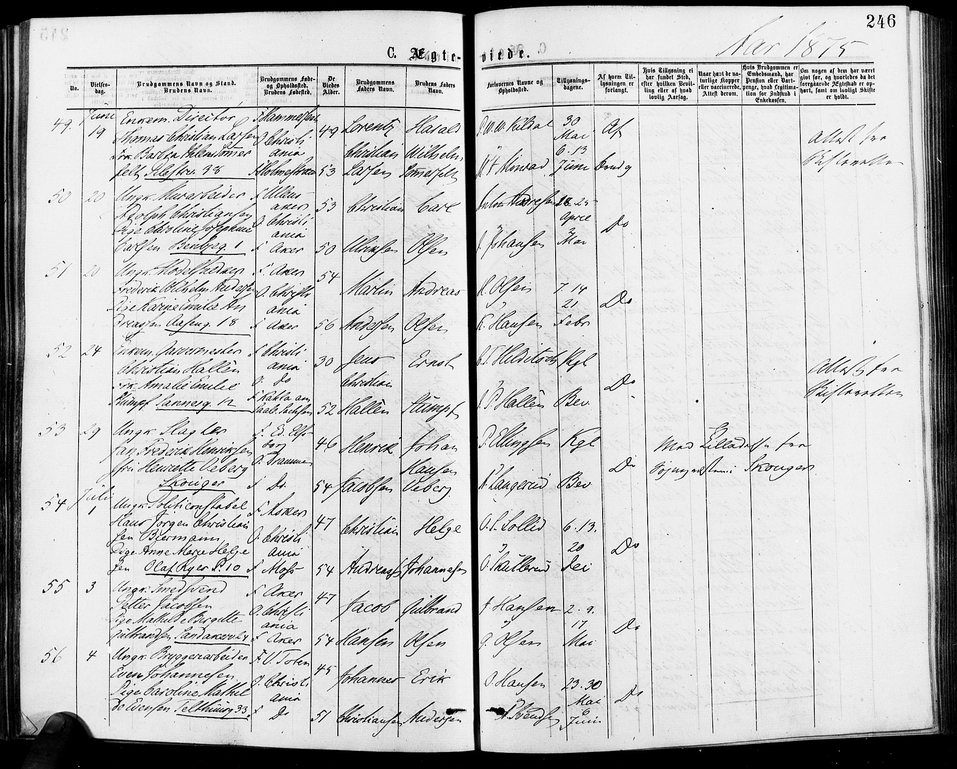 Gamle Aker prestekontor Kirkebøker, AV/SAO-A-10617a/F/L0005: Parish register (official) no. 5, 1873-1881, p. 246