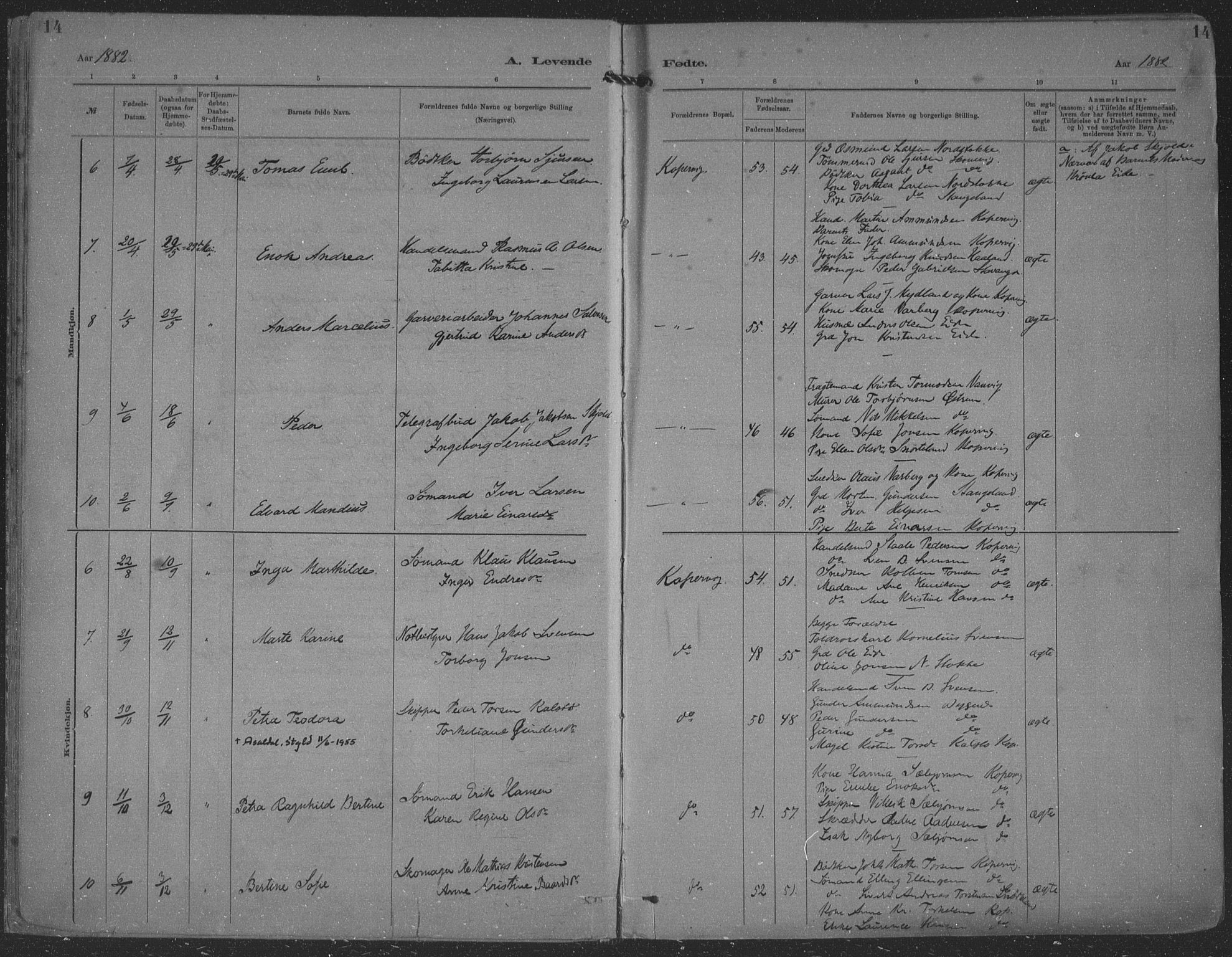 Kopervik sokneprestkontor, AV/SAST-A-101850/H/Ha/Haa/L0001: Parish register (official) no. A 1, 1880-1919, p. 14