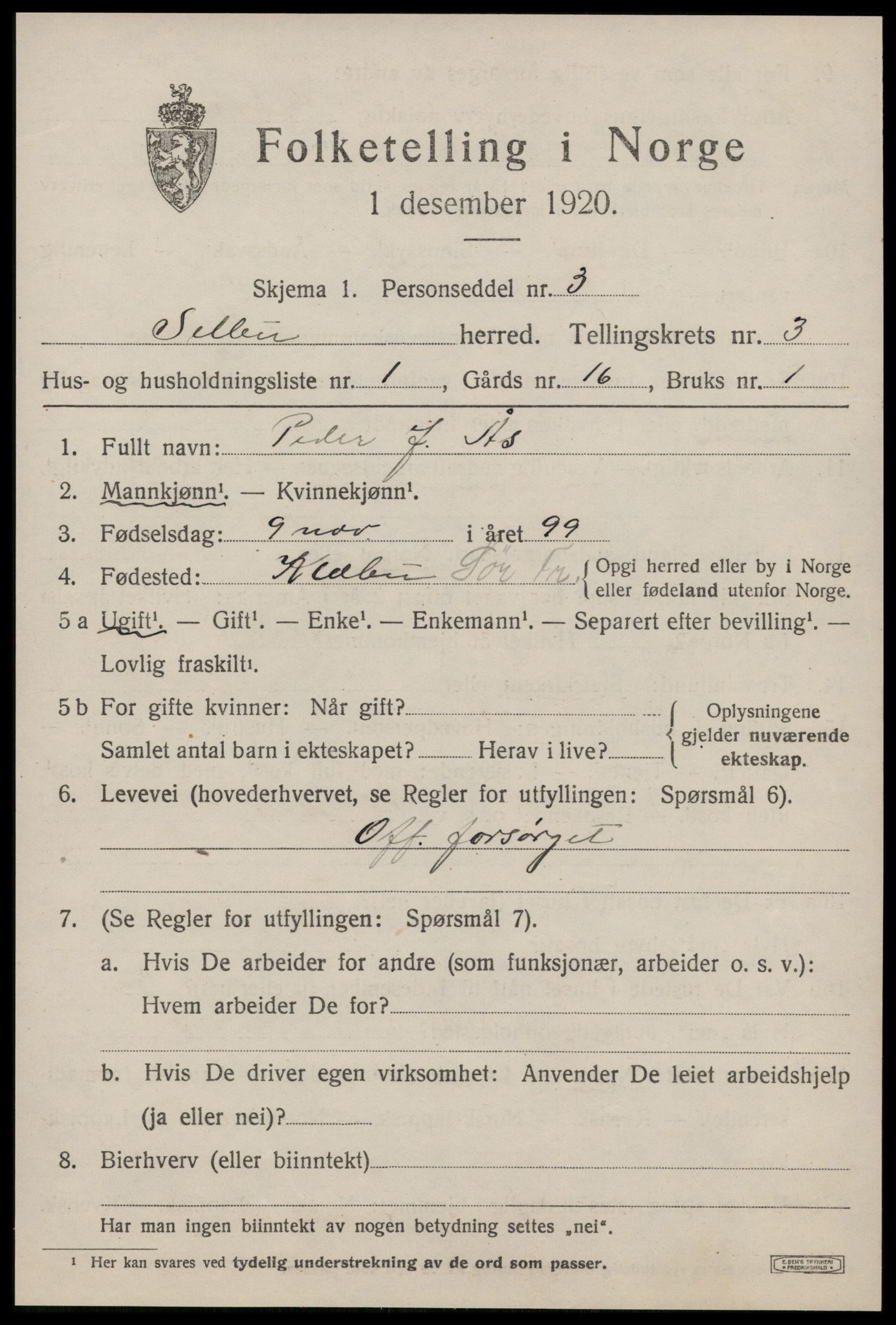 SAT, 1920 census for Selbu, 1920, p. 2454