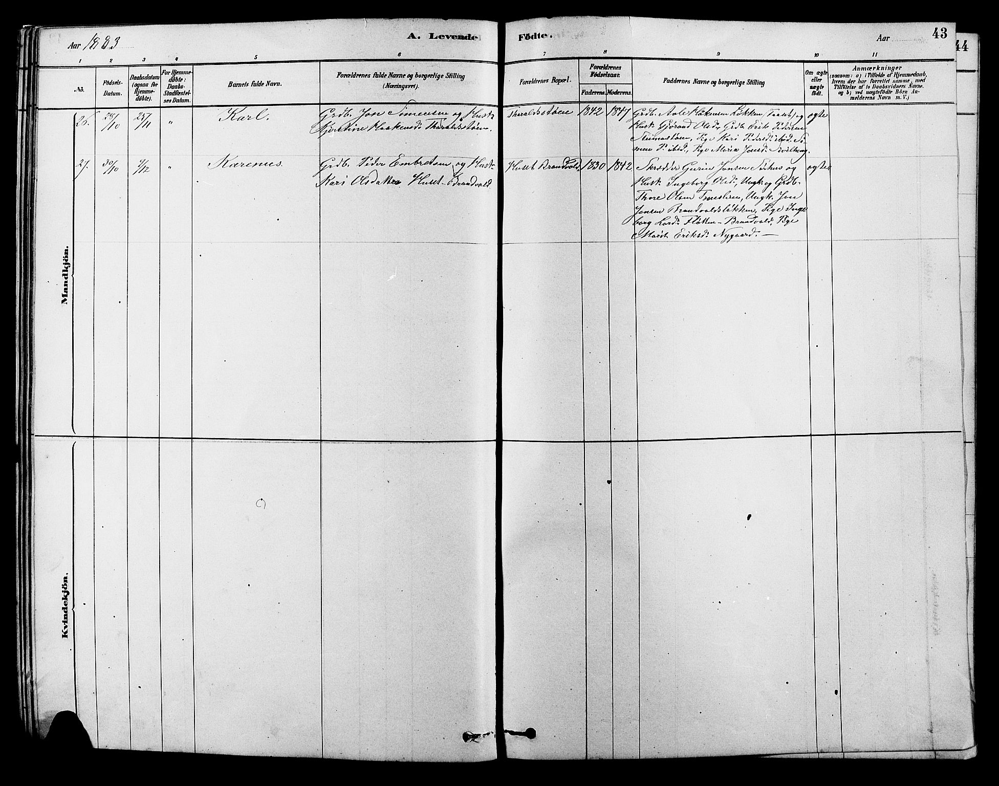 Alvdal prestekontor, SAH/PREST-060/H/Ha/Hab/L0003: Parish register (copy) no. 3, 1878-1907, p. 43
