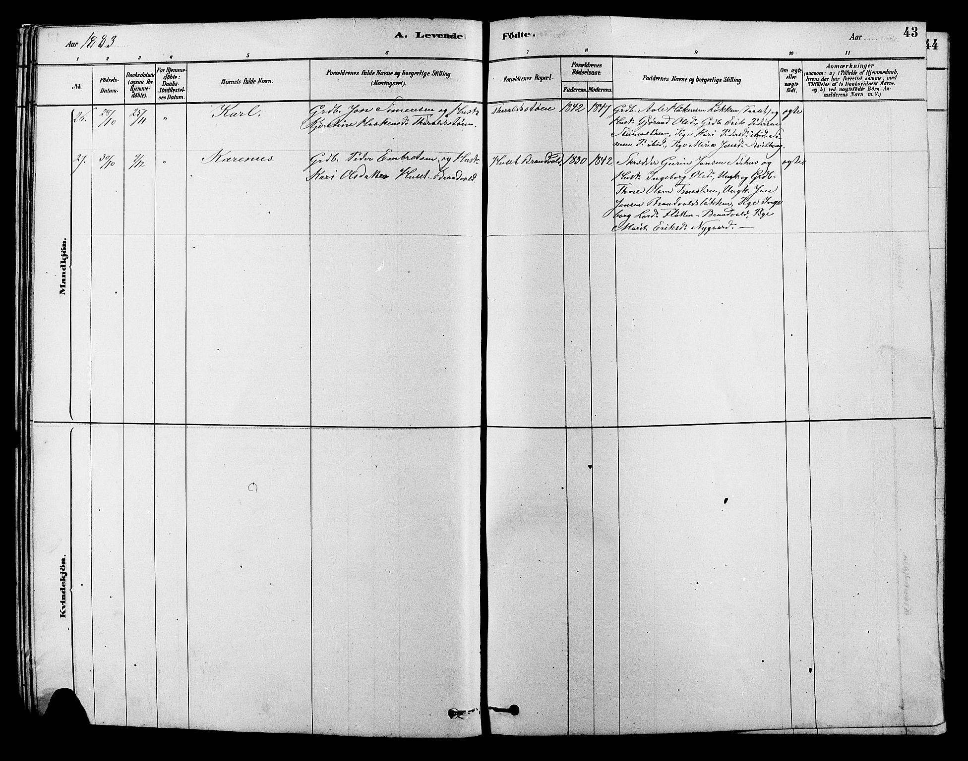 Alvdal prestekontor, AV/SAH-PREST-060/H/Ha/Hab/L0003: Parish register (copy) no. 3, 1878-1907, p. 43