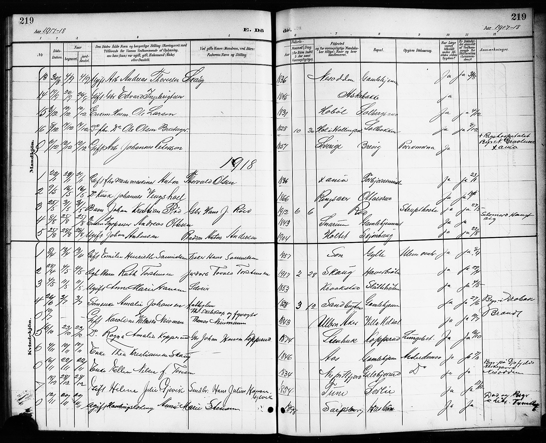 Drøbak prestekontor Kirkebøker, SAO/A-10142a/G/Gb/L0001: Parish register (copy) no. II 1, 1901-1919, p. 219