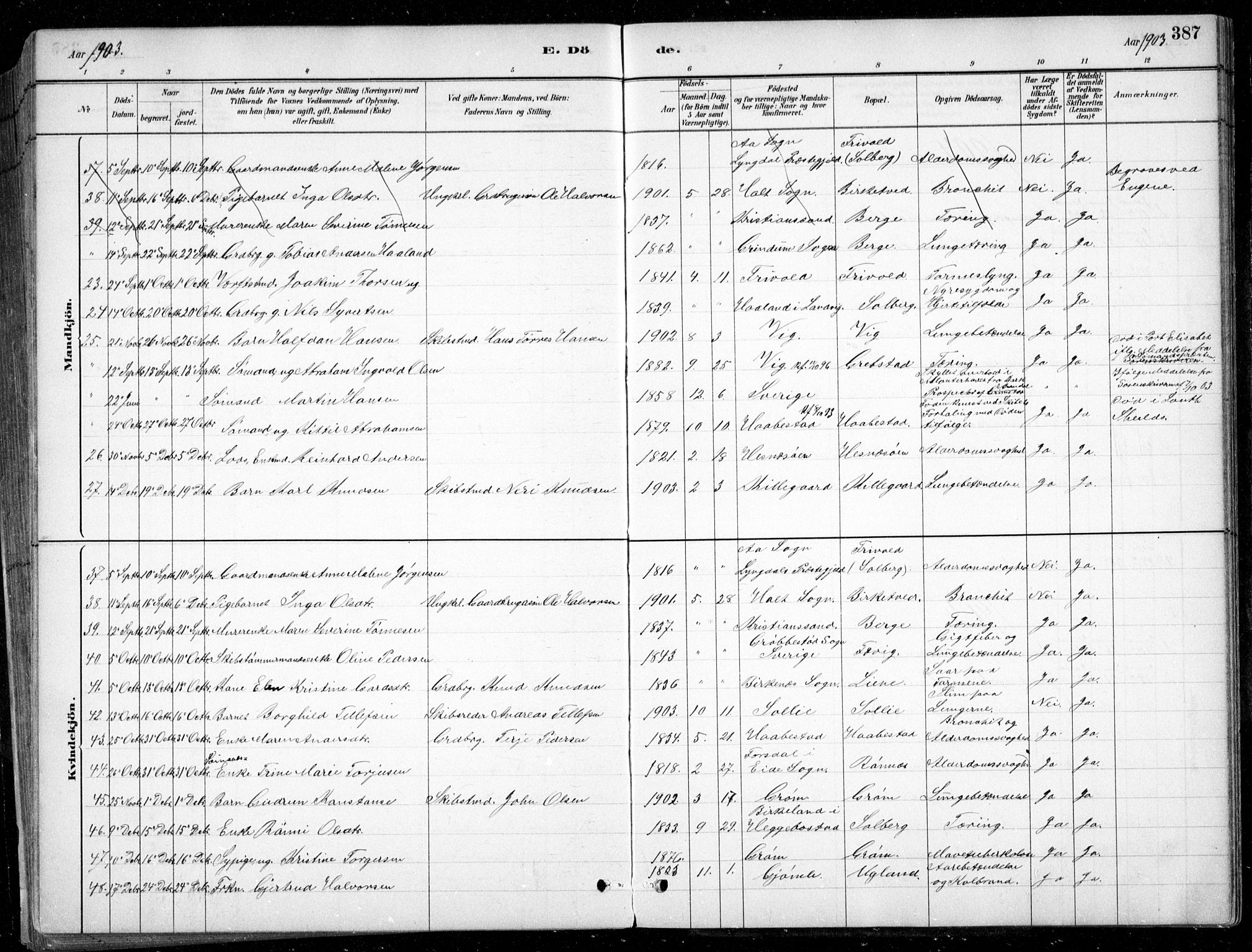 Fjære sokneprestkontor, SAK/1111-0011/F/Fb/L0011: Parish register (copy) no. B 11, 1881-1905, p. 387