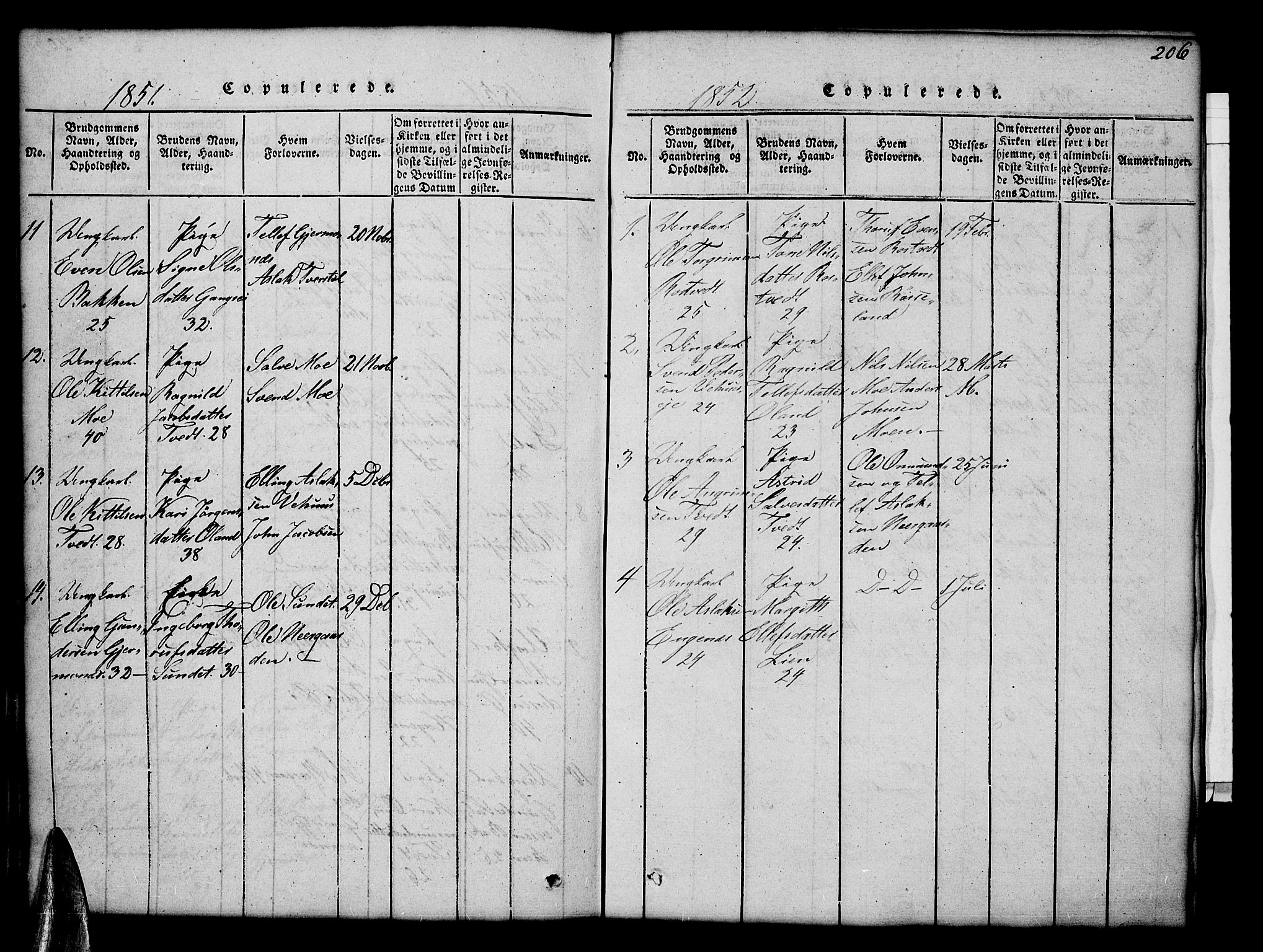 Åmli sokneprestkontor, AV/SAK-1111-0050/F/Fb/Fbc/L0001: Parish register (copy) no. B 1, 1816-1867, p. 206