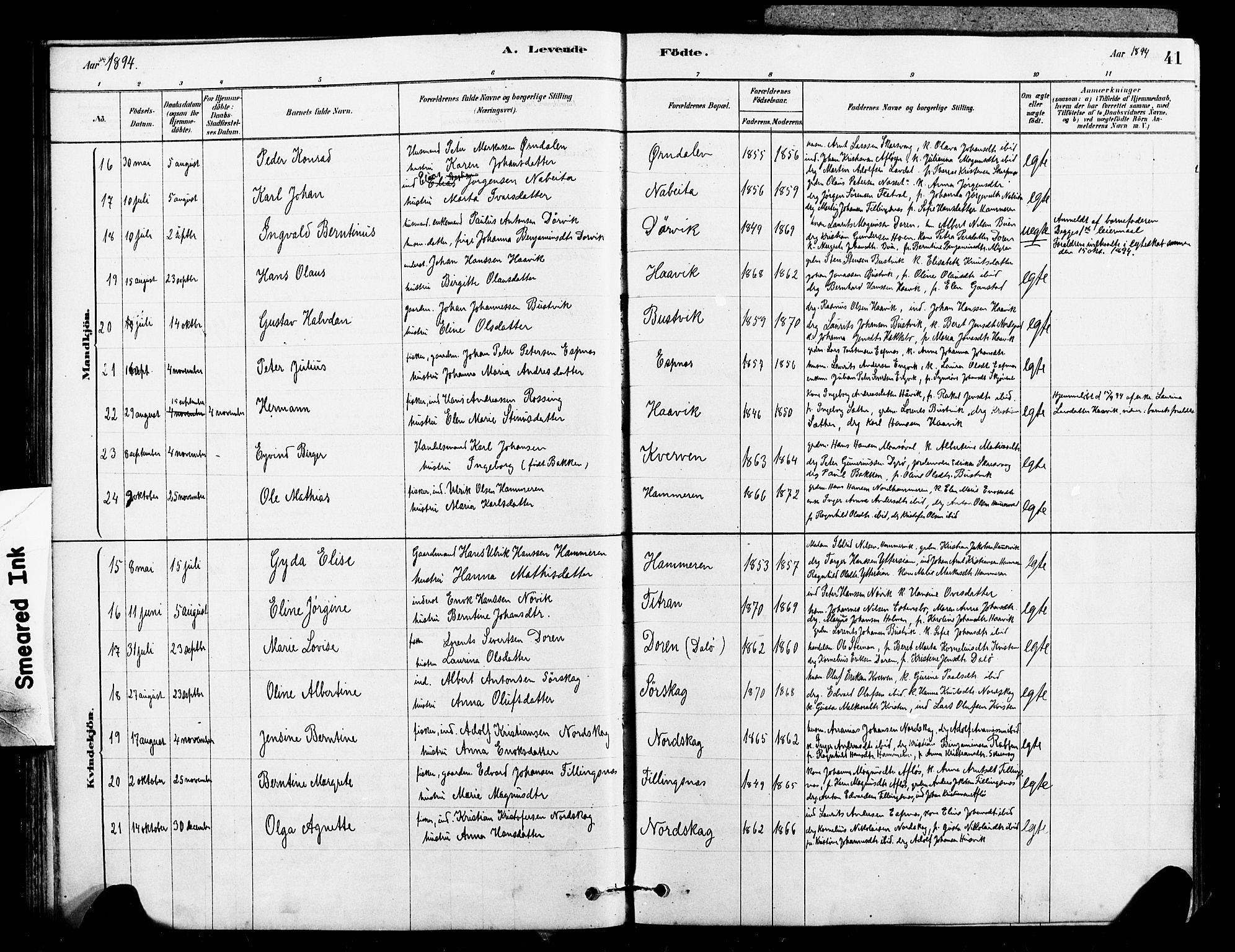 Ministerialprotokoller, klokkerbøker og fødselsregistre - Sør-Trøndelag, SAT/A-1456/641/L0595: Parish register (official) no. 641A01, 1882-1897, p. 41
