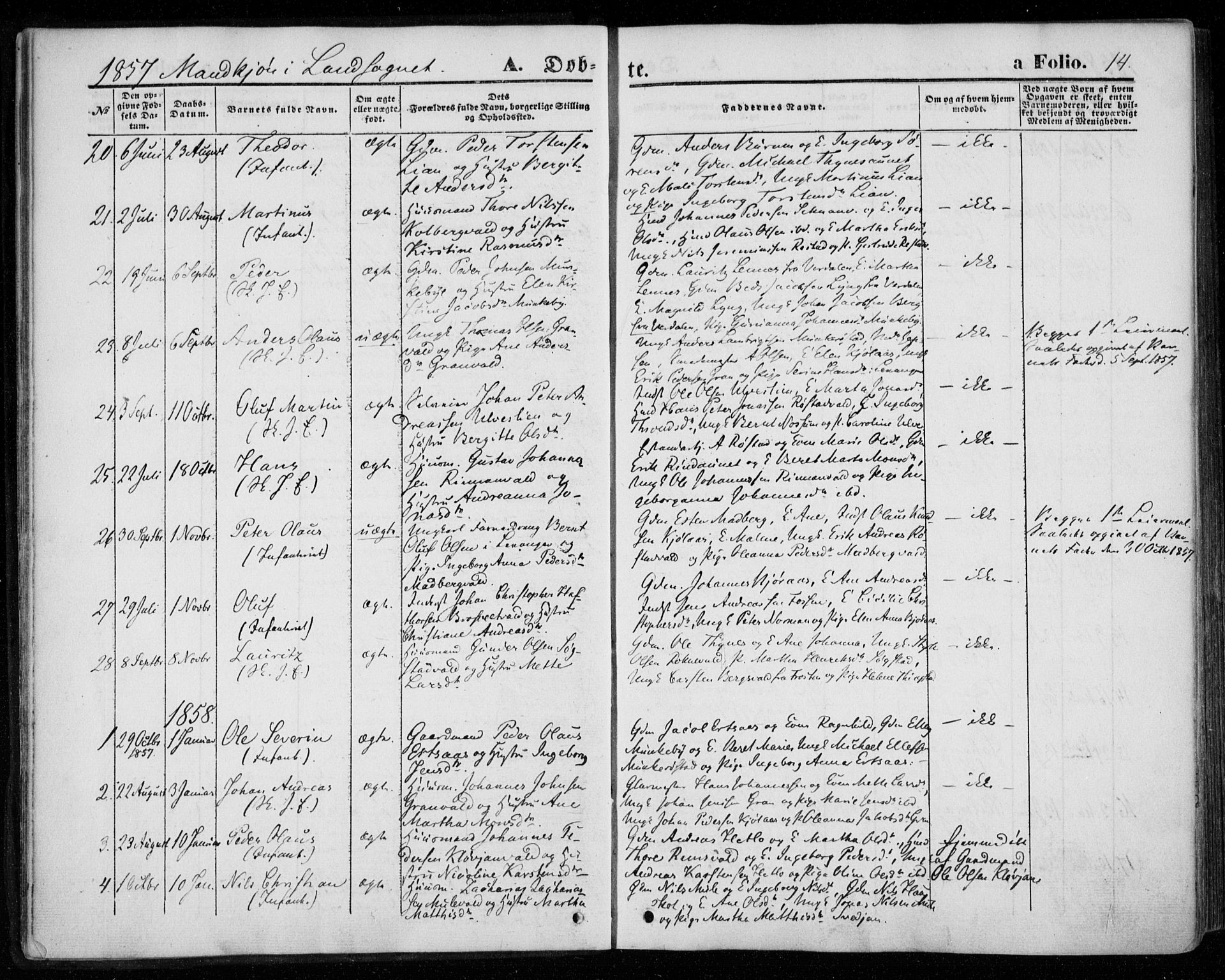 Ministerialprotokoller, klokkerbøker og fødselsregistre - Nord-Trøndelag, SAT/A-1458/720/L0184: Parish register (official) no. 720A02 /2, 1855-1863, p. 14