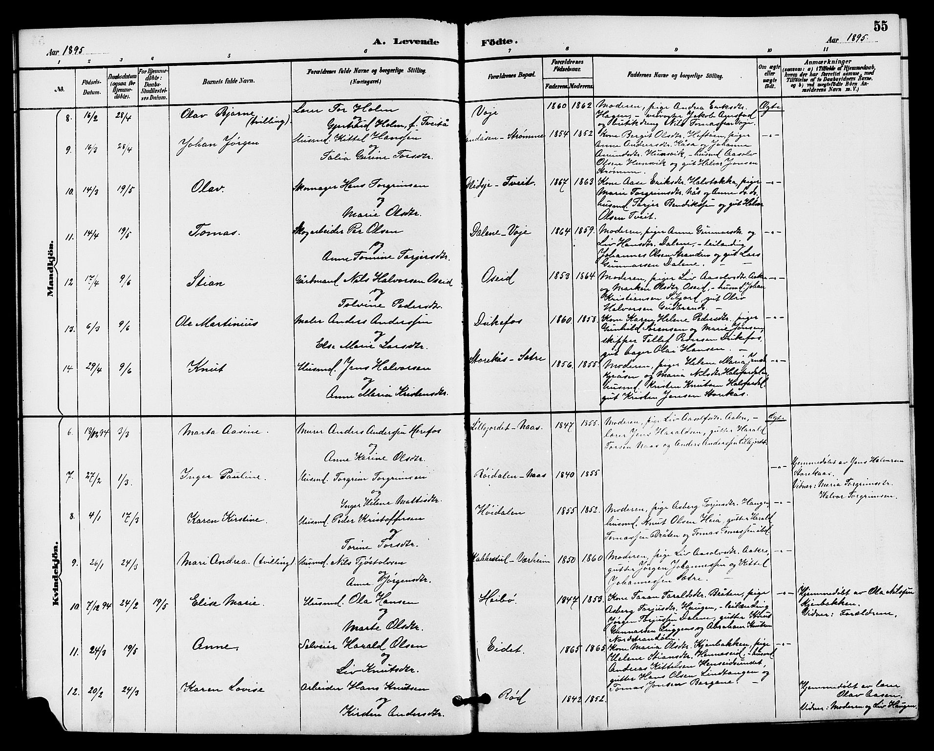 Drangedal kirkebøker, SAKO/A-258/G/Ga/L0003: Parish register (copy) no. I 3, 1887-1906, p. 55