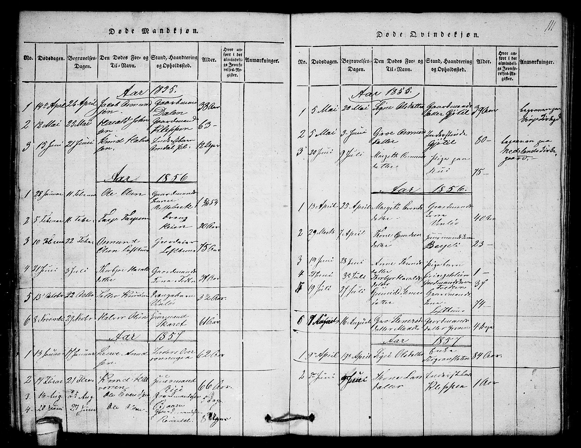 Lårdal kirkebøker, SAKO/A-284/G/Gb/L0001: Parish register (copy) no. II 1, 1815-1865, p. 111
