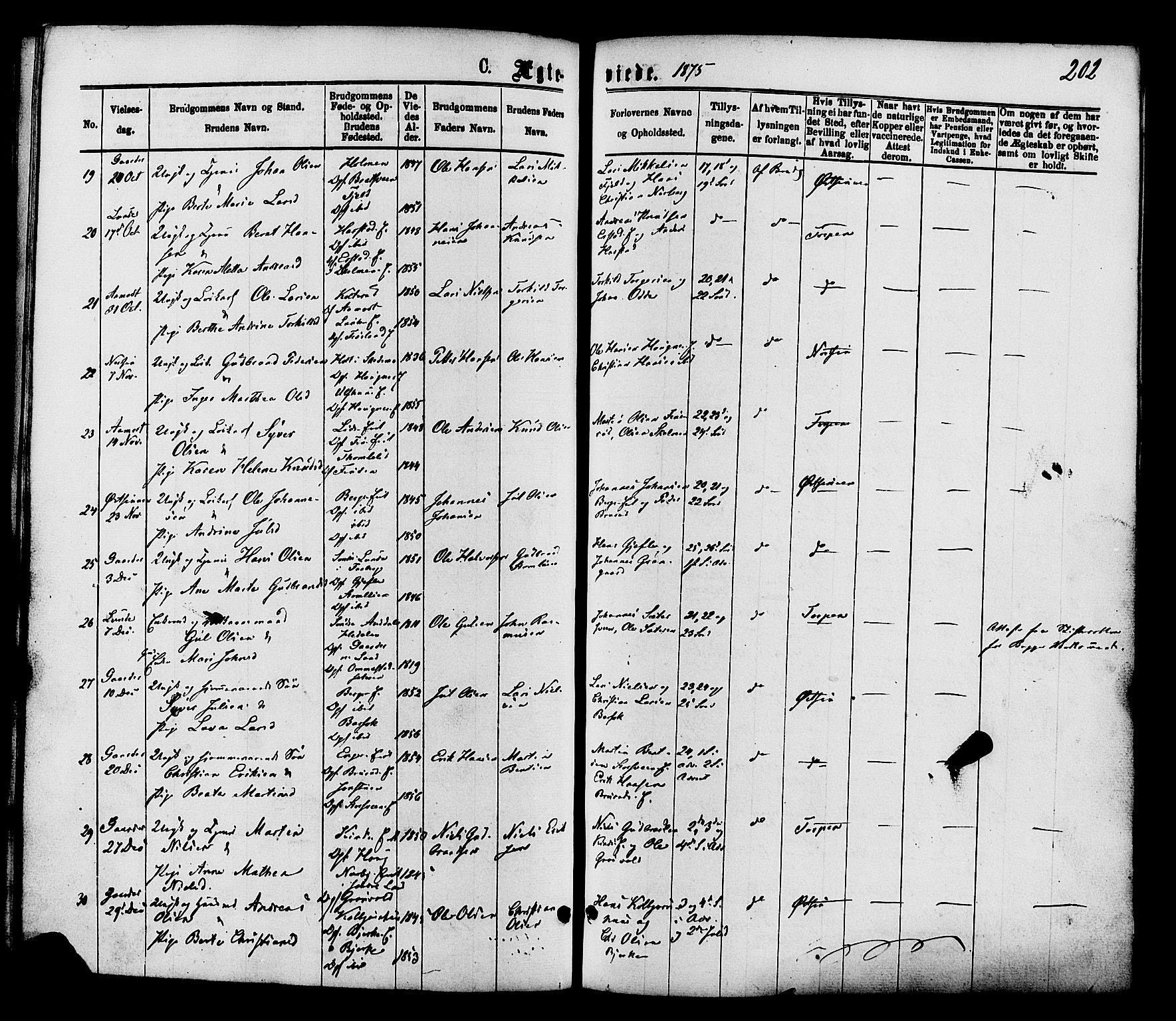 Nordre Land prestekontor, AV/SAH-PREST-124/H/Ha/Haa/L0002: Parish register (official) no. 2, 1872-1881, p. 202