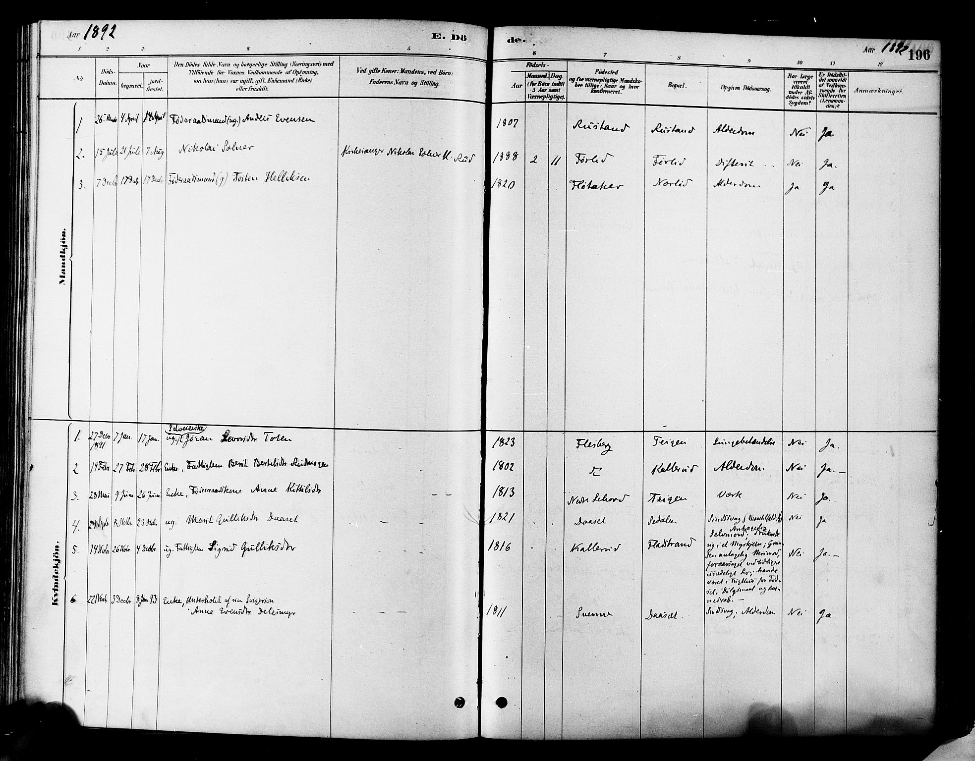 Flesberg kirkebøker, SAKO/A-18/F/Fa/L0008: Parish register (official) no. I 8, 1879-1899, p. 196