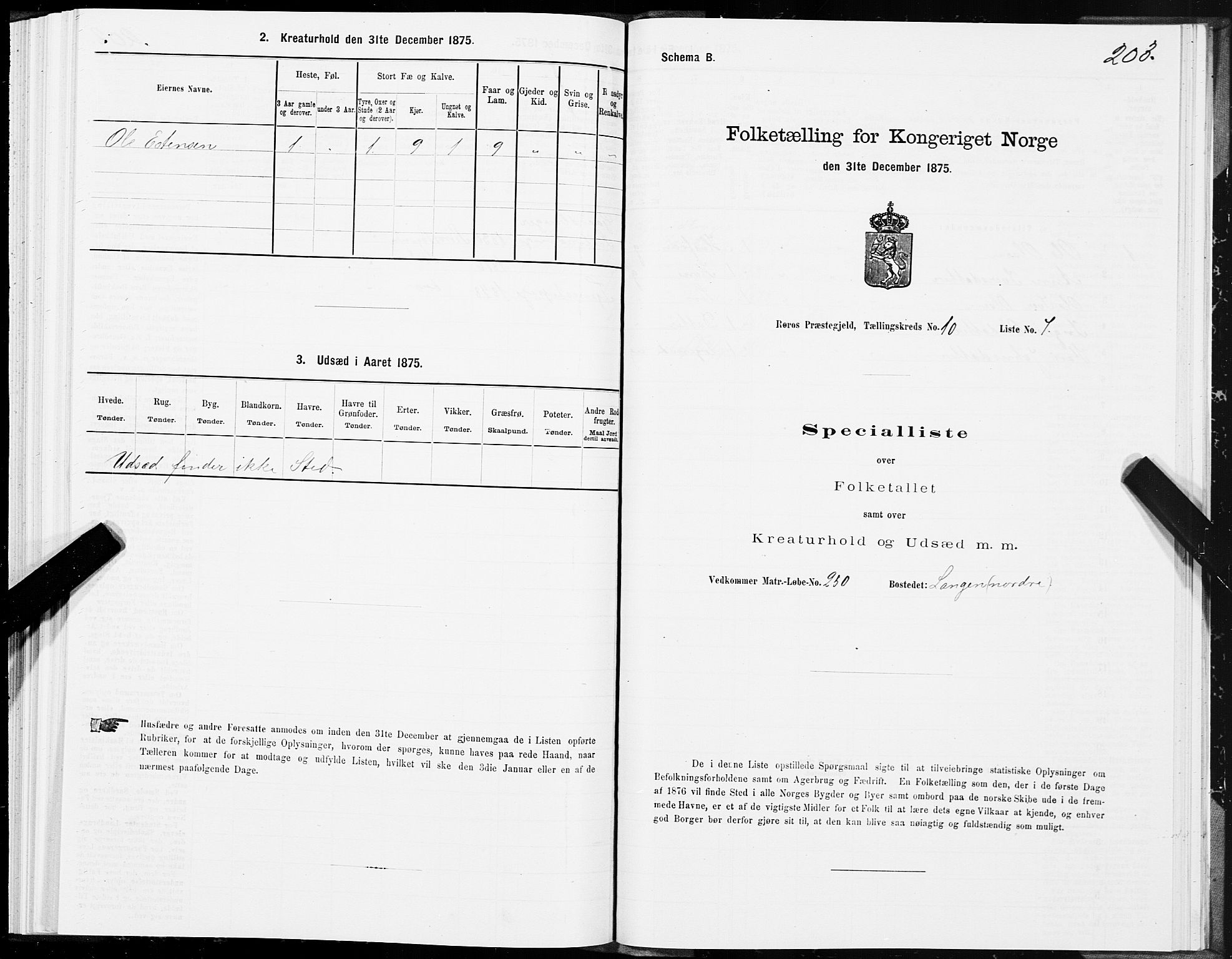 SAT, 1875 census for 1640P Røros, 1875, p. 5203