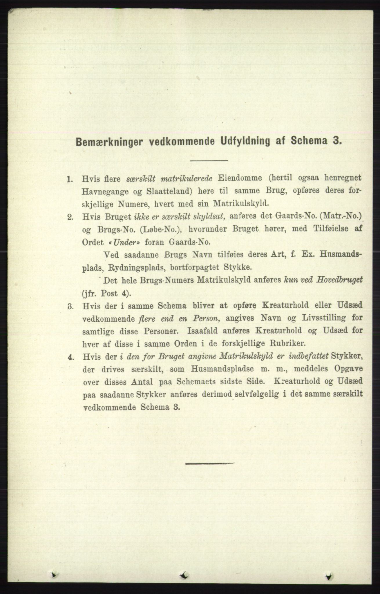 RA, 1891 census for 0544 Øystre Slidre, 1891, p. 1077