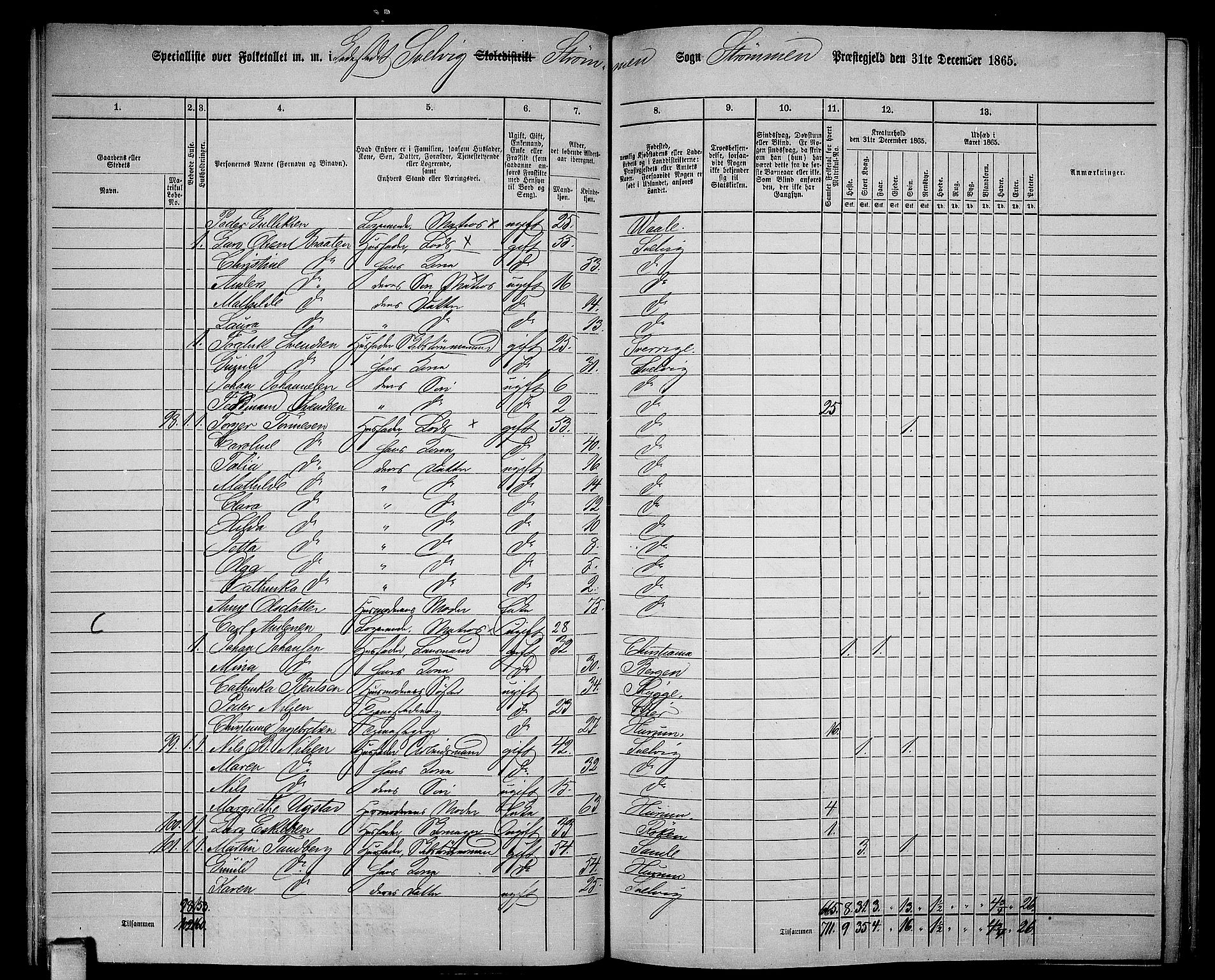 RA, 1865 census for Strømm, 1865, p. 84