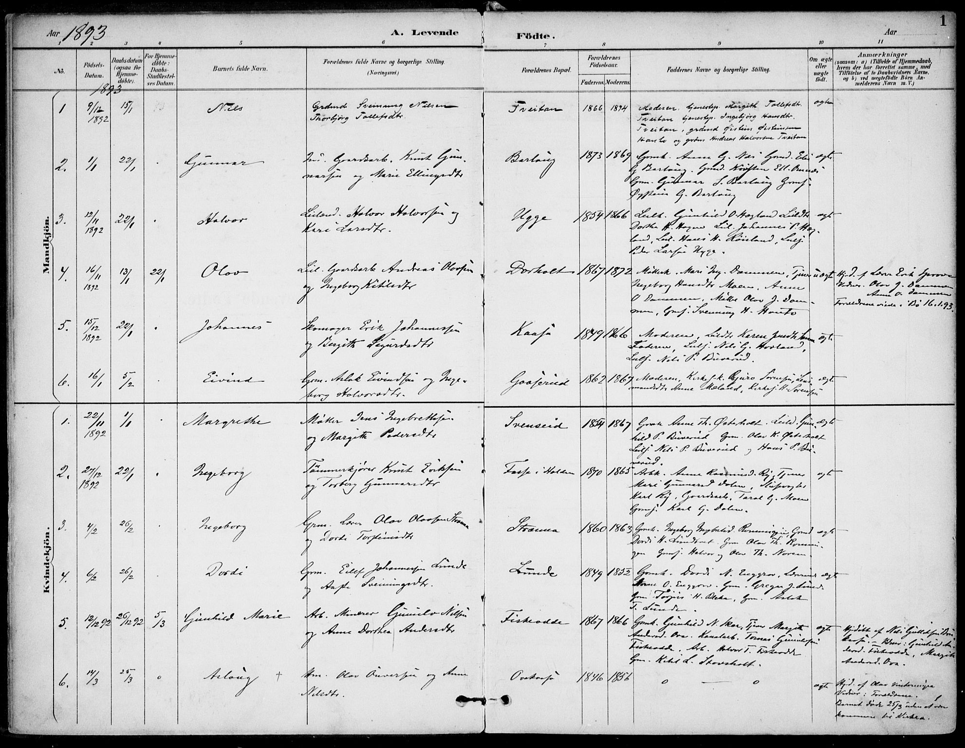 Lunde kirkebøker, SAKO/A-282/F/Fa/L0003: Parish register (official) no. I 3, 1893-1902, p. 1