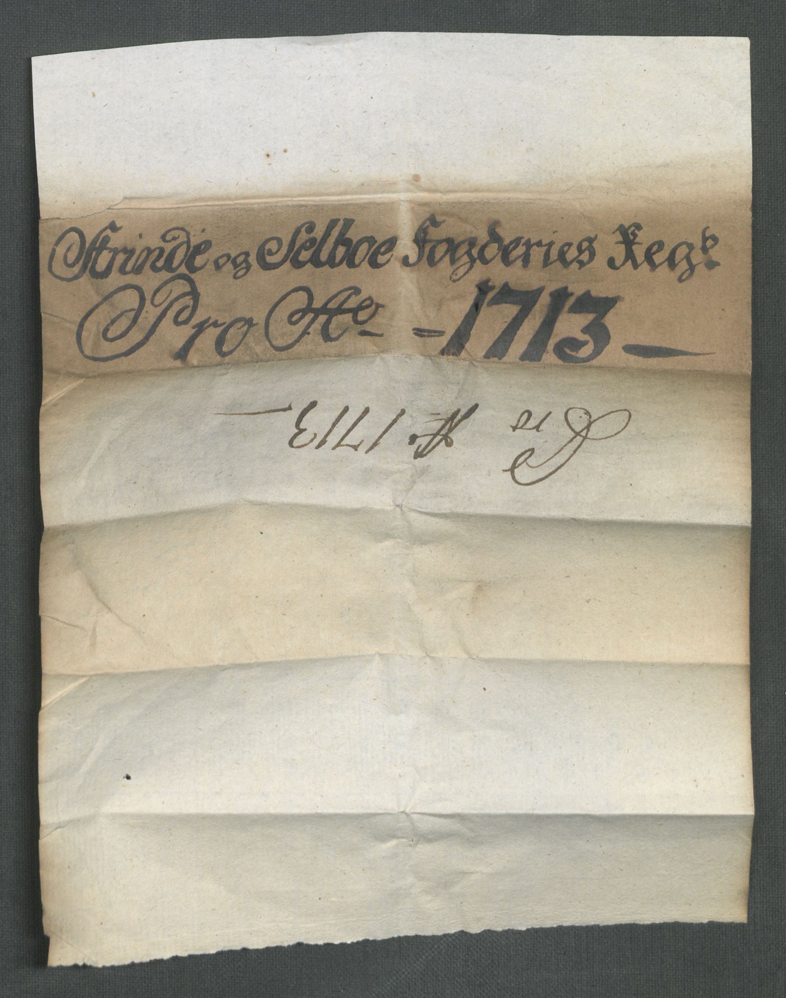 Rentekammeret inntil 1814, Reviderte regnskaper, Fogderegnskap, RA/EA-4092/R61/L4113: Fogderegnskap Strinda og Selbu, 1712-1713, p. 302