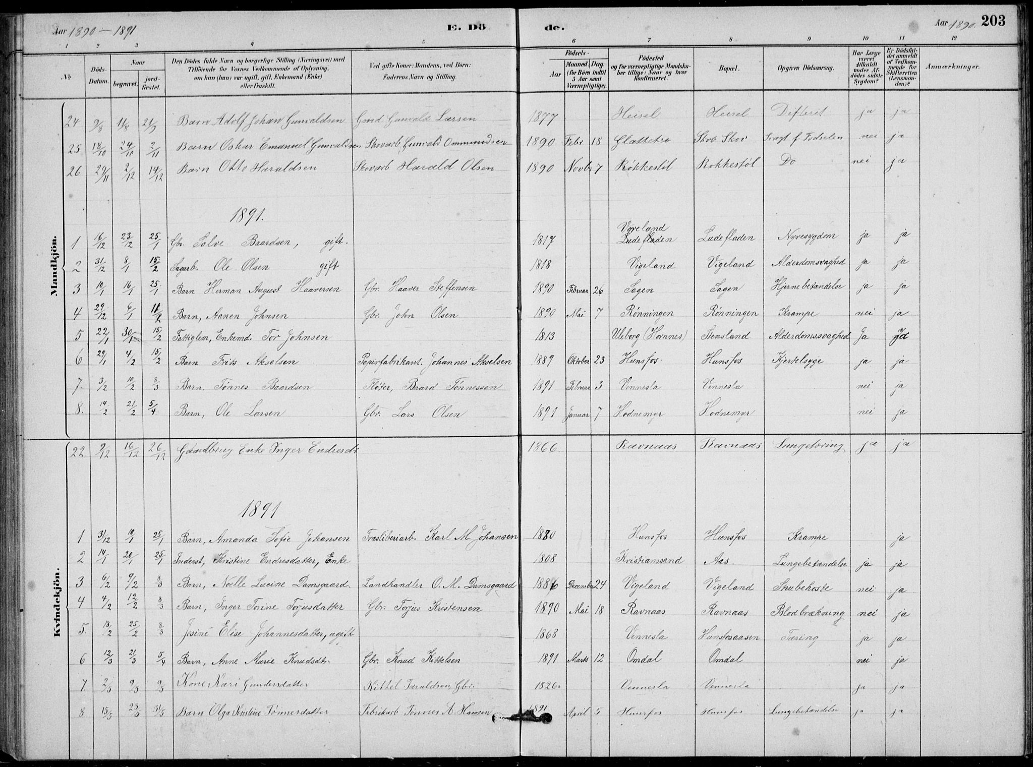 Vennesla sokneprestkontor, AV/SAK-1111-0045/Fb/Fbb/L0003: Parish register (copy) no. B 3, 1879-1893, p. 203