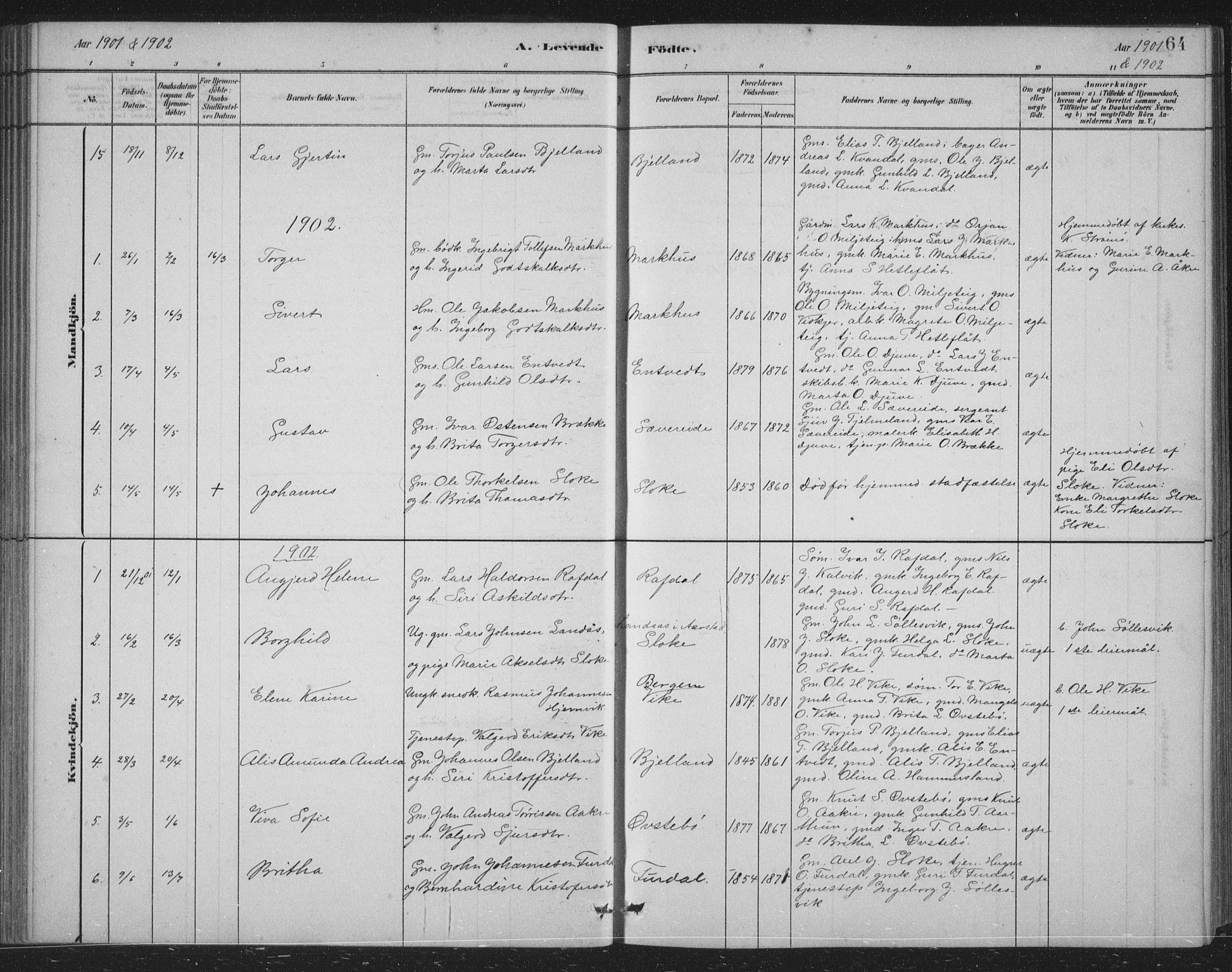 Skånevik sokneprestembete, SAB/A-77801/H/Hab: Parish register (copy) no. B 2, 1881-1920, p. 64
