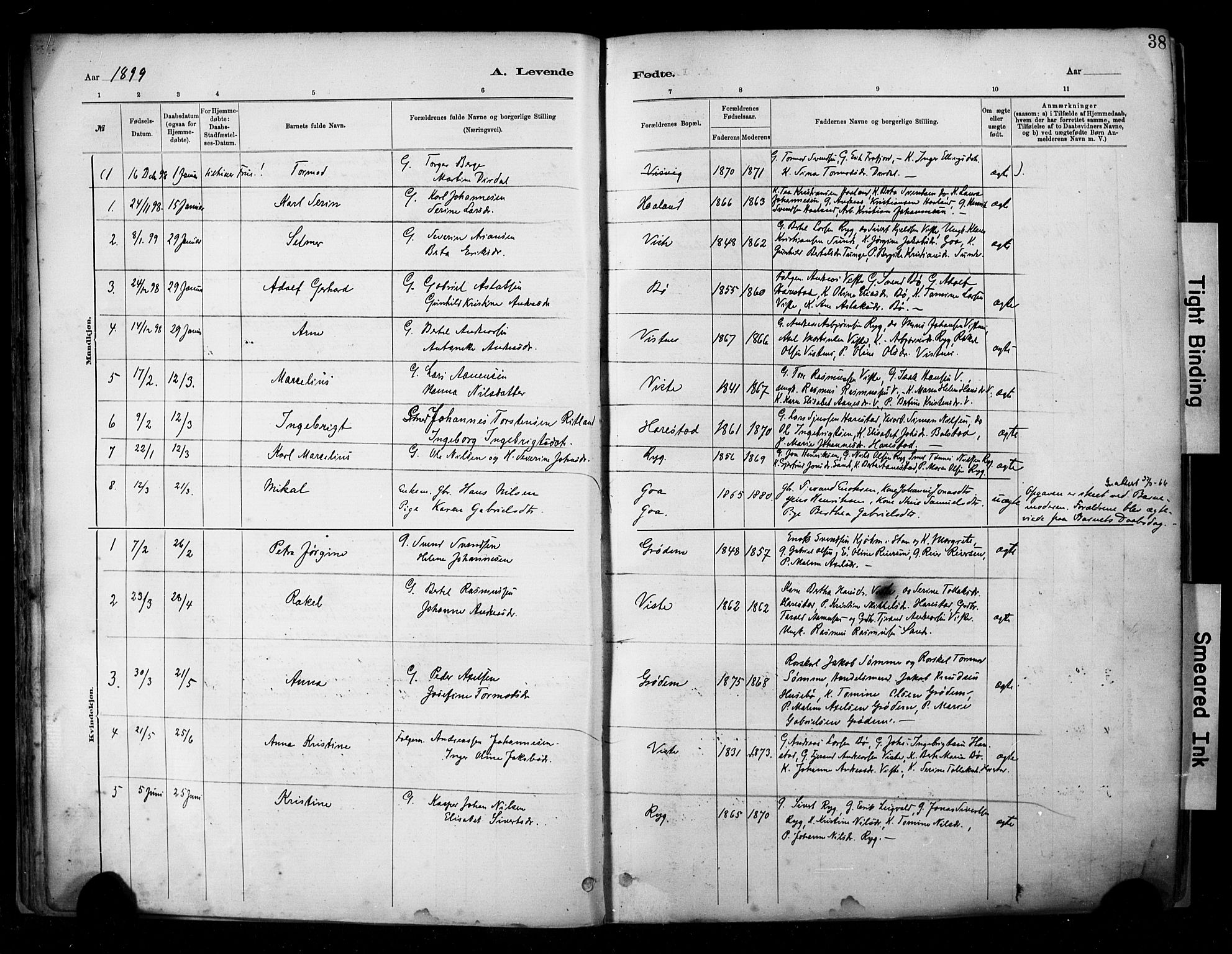 Hetland sokneprestkontor, SAST/A-101826/30/30BA/L0009: Parish register (official) no. A 9, 1882-1918, p. 38