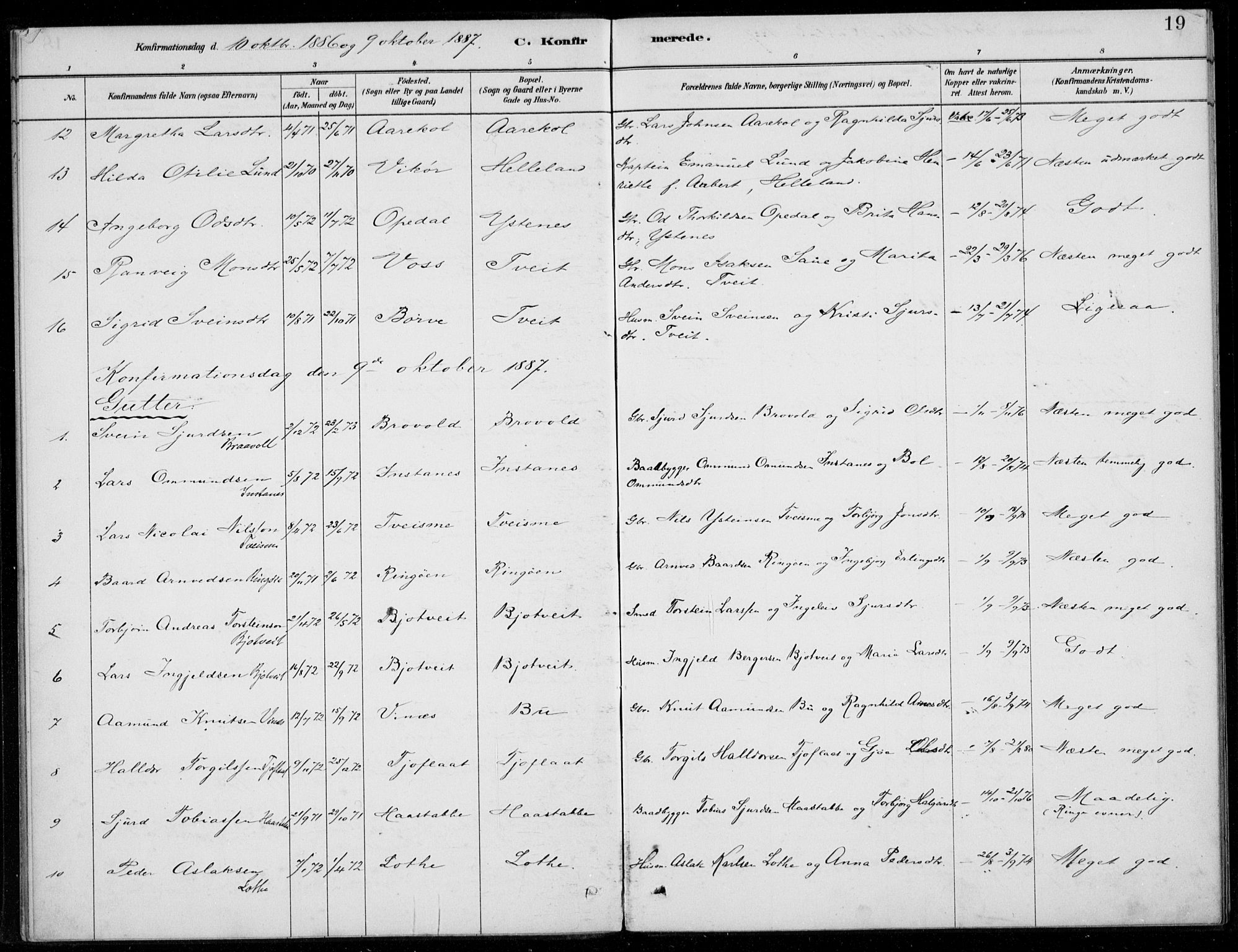 Ullensvang sokneprestembete, SAB/A-78701/H/Haa: Parish register (official) no. E  2, 1880-1914, p. 19