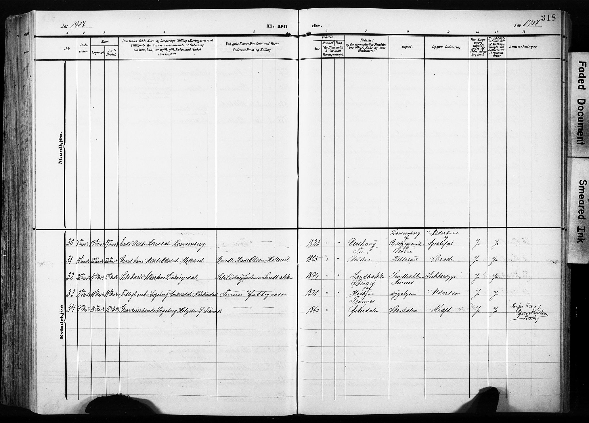 Furnes prestekontor, SAH/PREST-012/L/La/L0001: Parish register (copy) no. 1, 1904-1933, p. 318