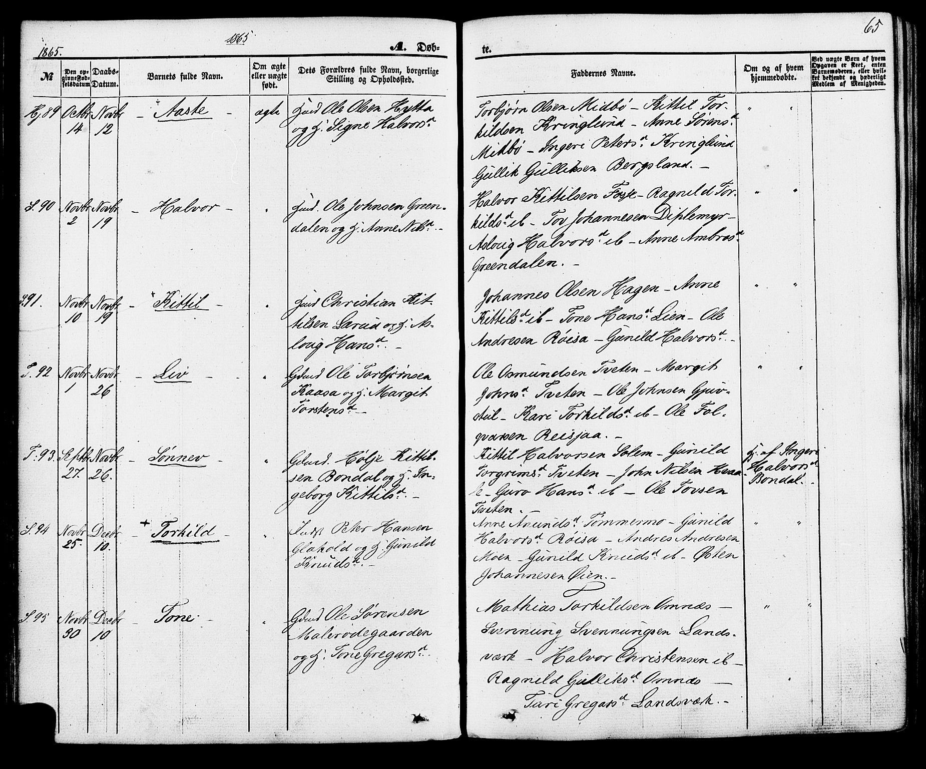 Hjartdal kirkebøker, SAKO/A-270/F/Fa/L0009: Parish register (official) no. I 9, 1860-1879, p. 65