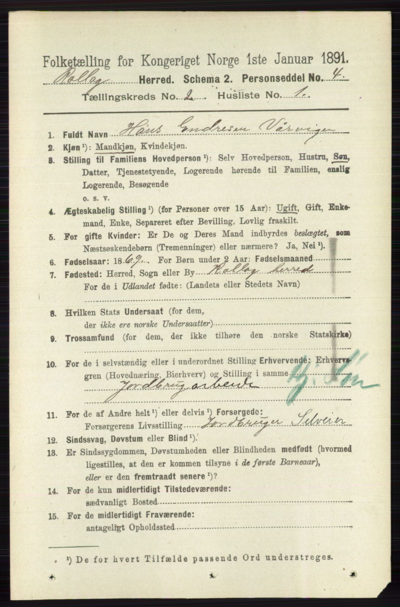 RA, 1891 census for 0632 Rollag, 1891, p. 490