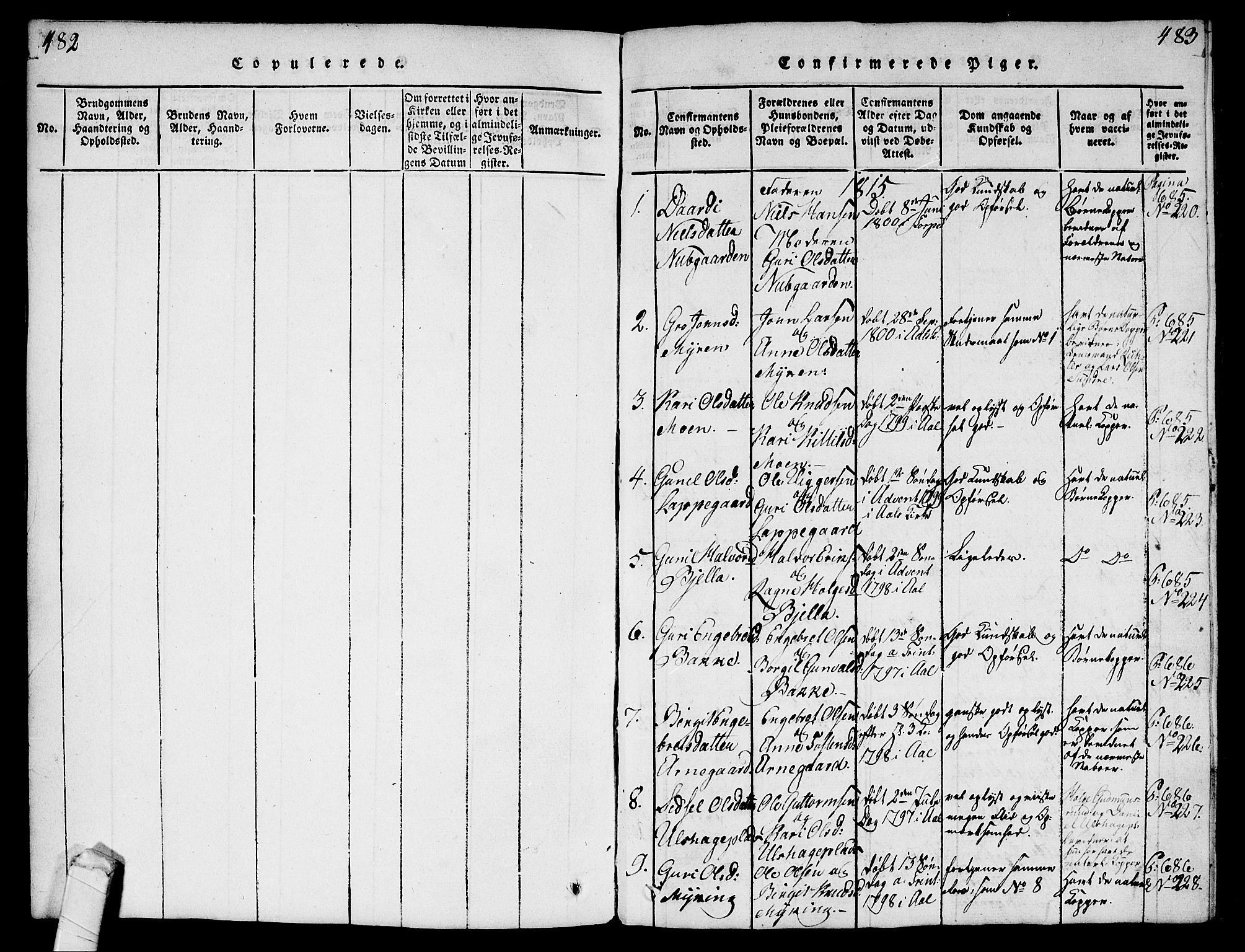 Ål kirkebøker, SAKO/A-249/G/Ga/L0001: Parish register (copy) no. 1, 1815-1829, p. 482-483