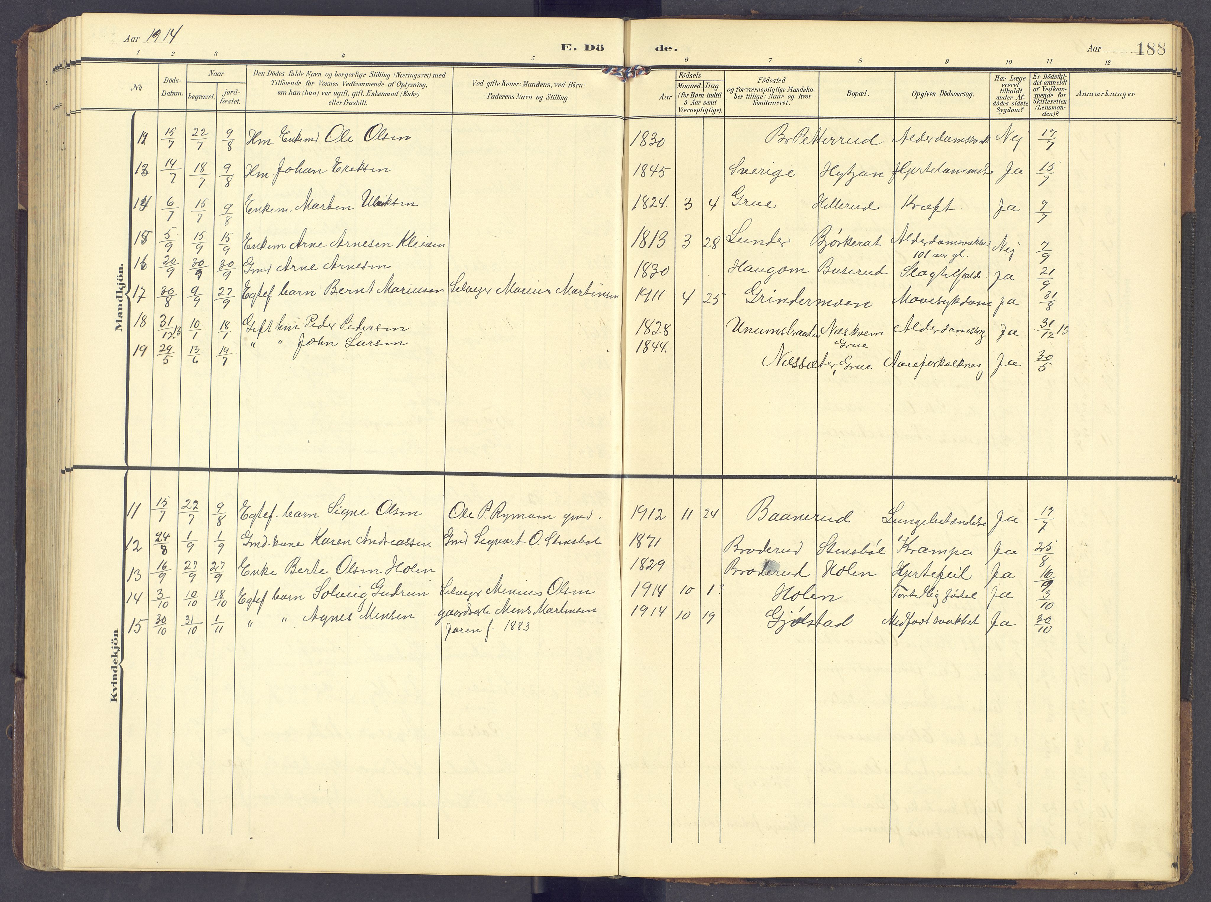 Brandval prestekontor, AV/SAH-PREST-034/H/Ha/Hab/L0003: Parish register (copy) no. 3, 1904-1917, p. 188