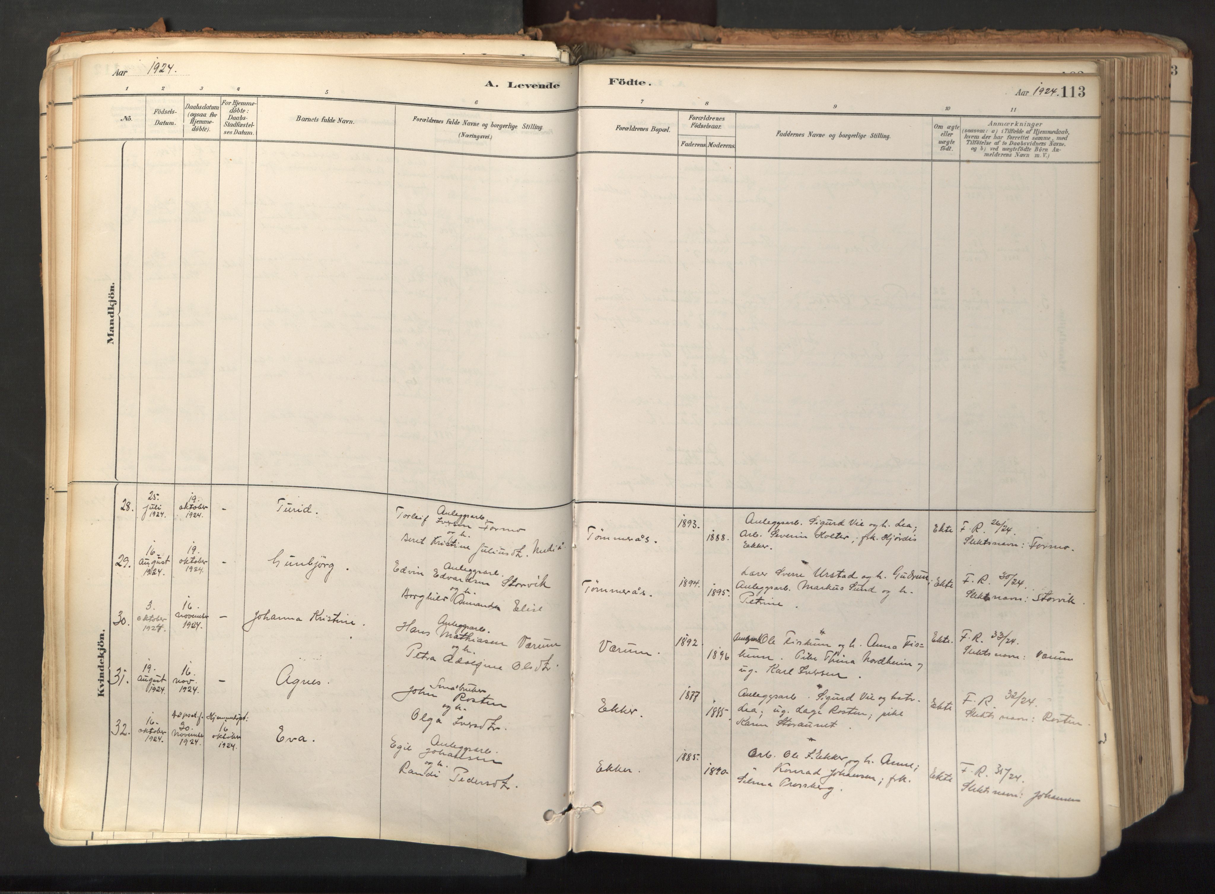 Ministerialprotokoller, klokkerbøker og fødselsregistre - Nord-Trøndelag, AV/SAT-A-1458/758/L0519: Parish register (official) no. 758A04, 1880-1926, p. 113