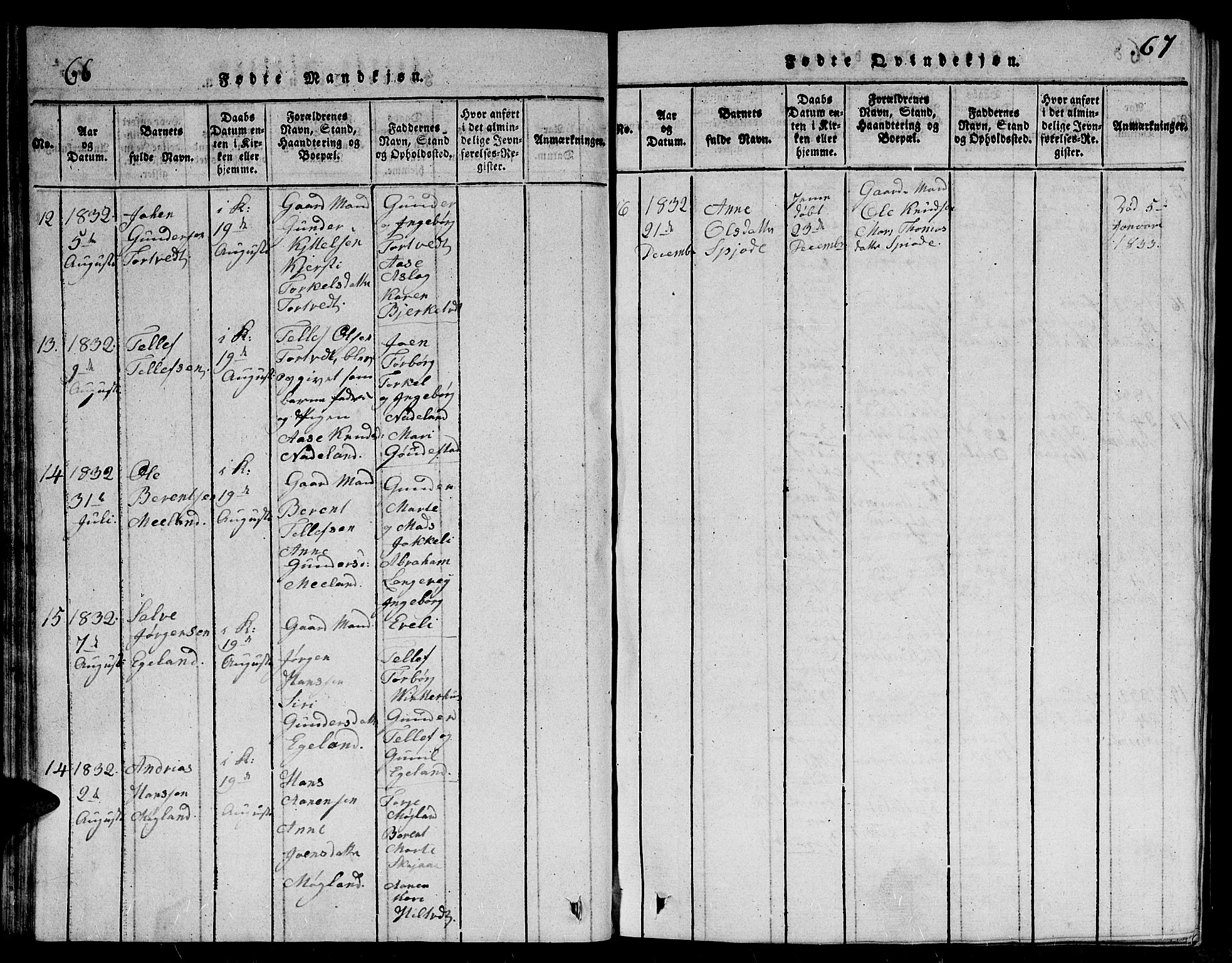 Evje sokneprestkontor, SAK/1111-0008/F/Fb/Fbc/L0001: Parish register (copy) no. B 1, 1816-1836, p. 66-67