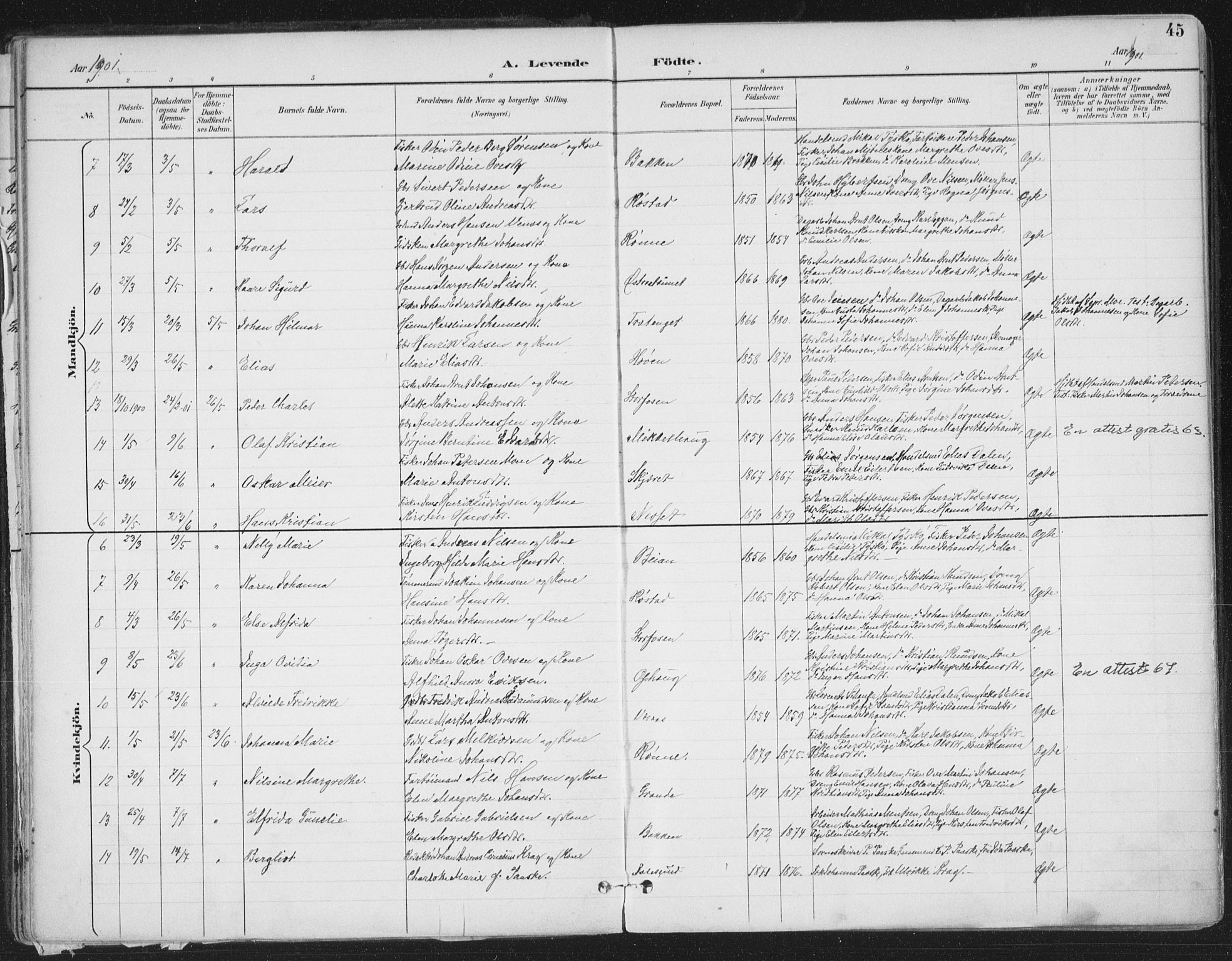 Ministerialprotokoller, klokkerbøker og fødselsregistre - Sør-Trøndelag, SAT/A-1456/659/L0743: Parish register (official) no. 659A13, 1893-1910, p. 45