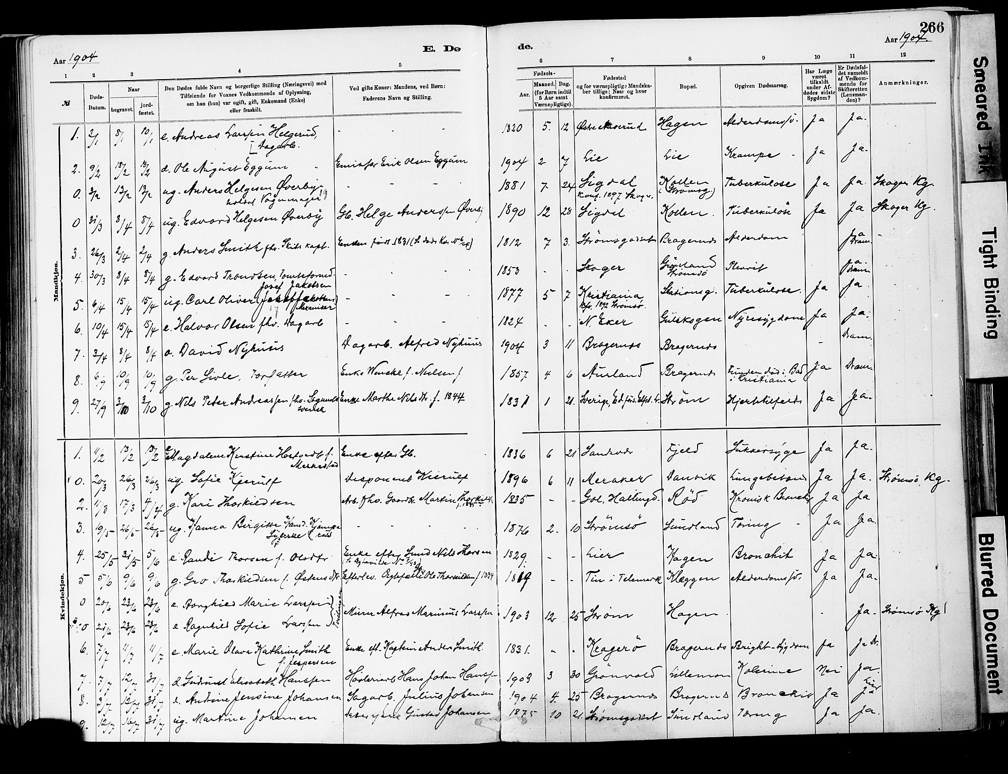 Strømsgodset kirkebøker, SAKO/A-324/F/Fa/L0001: Parish register (official) no. 1, 1885-1909, p. 266