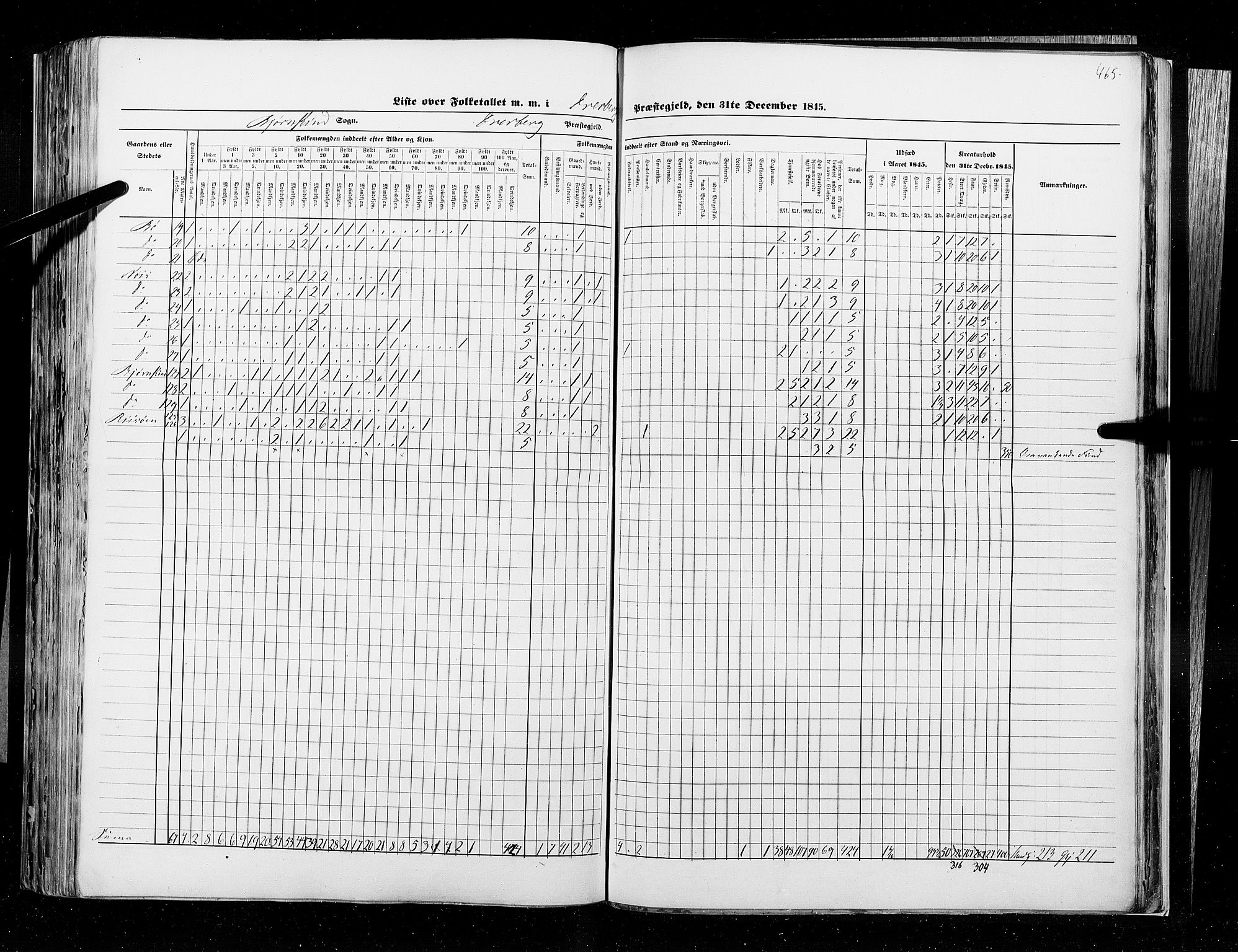 RA, Census 1845, vol. 9B: Nordland amt, 1845, p. 465