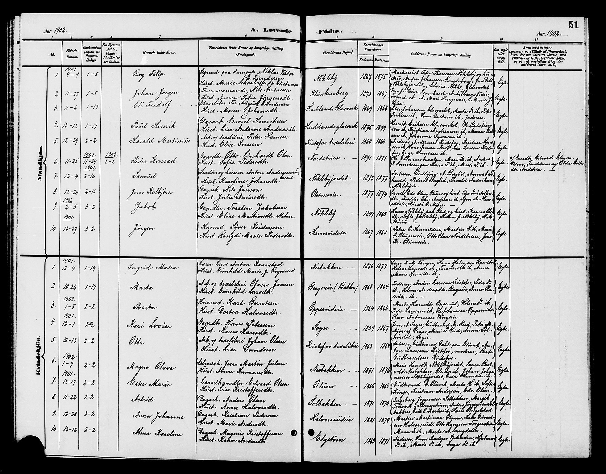 Jevnaker prestekontor, SAH/PREST-116/H/Ha/Hab/L0002: Parish register (copy) no. 2, 1896-1906, p. 51
