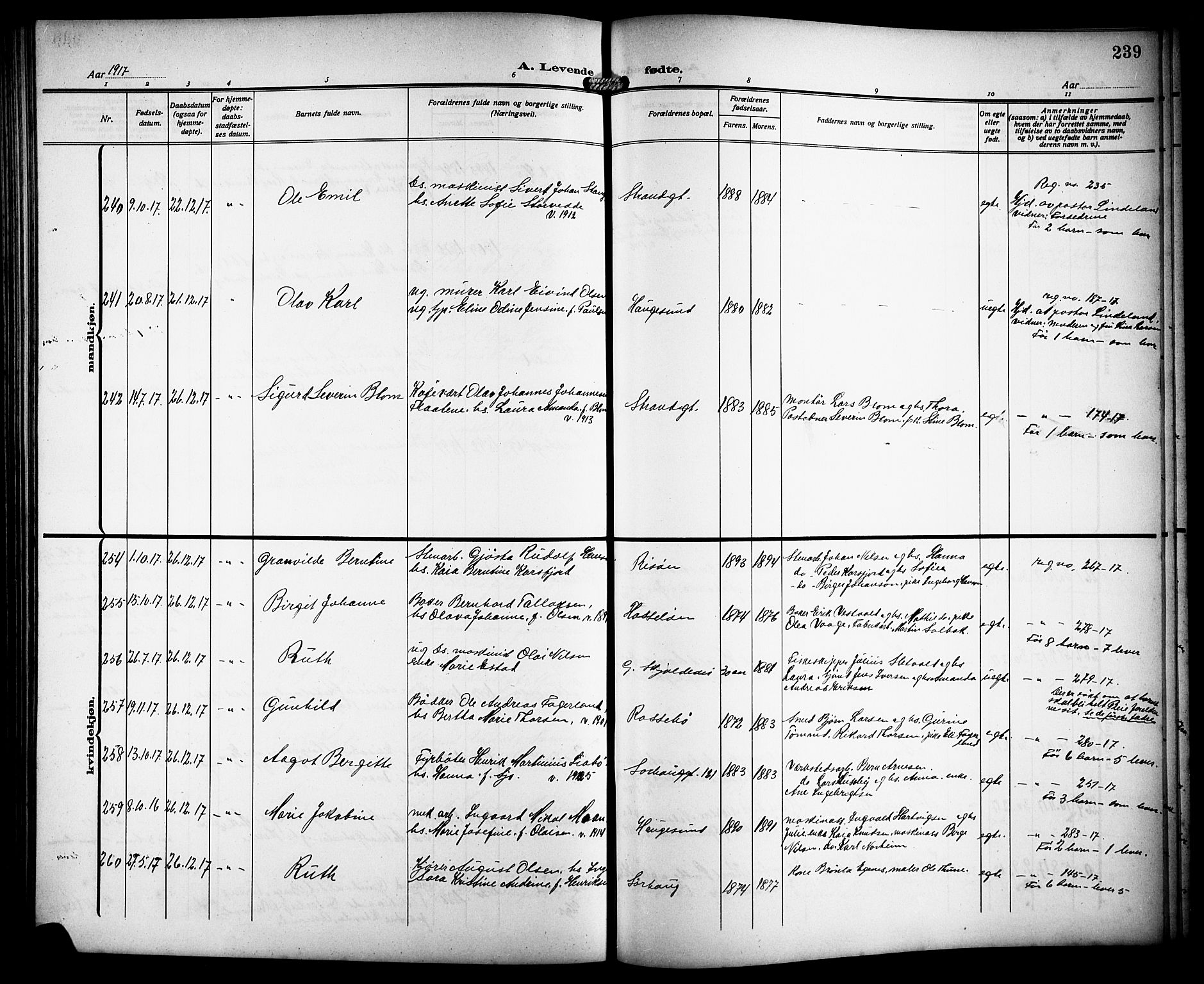 Haugesund sokneprestkontor, AV/SAST-A -101863/H/Ha/Hab/L0007: Parish register (copy) no. B 7, 1909-1920, p. 239