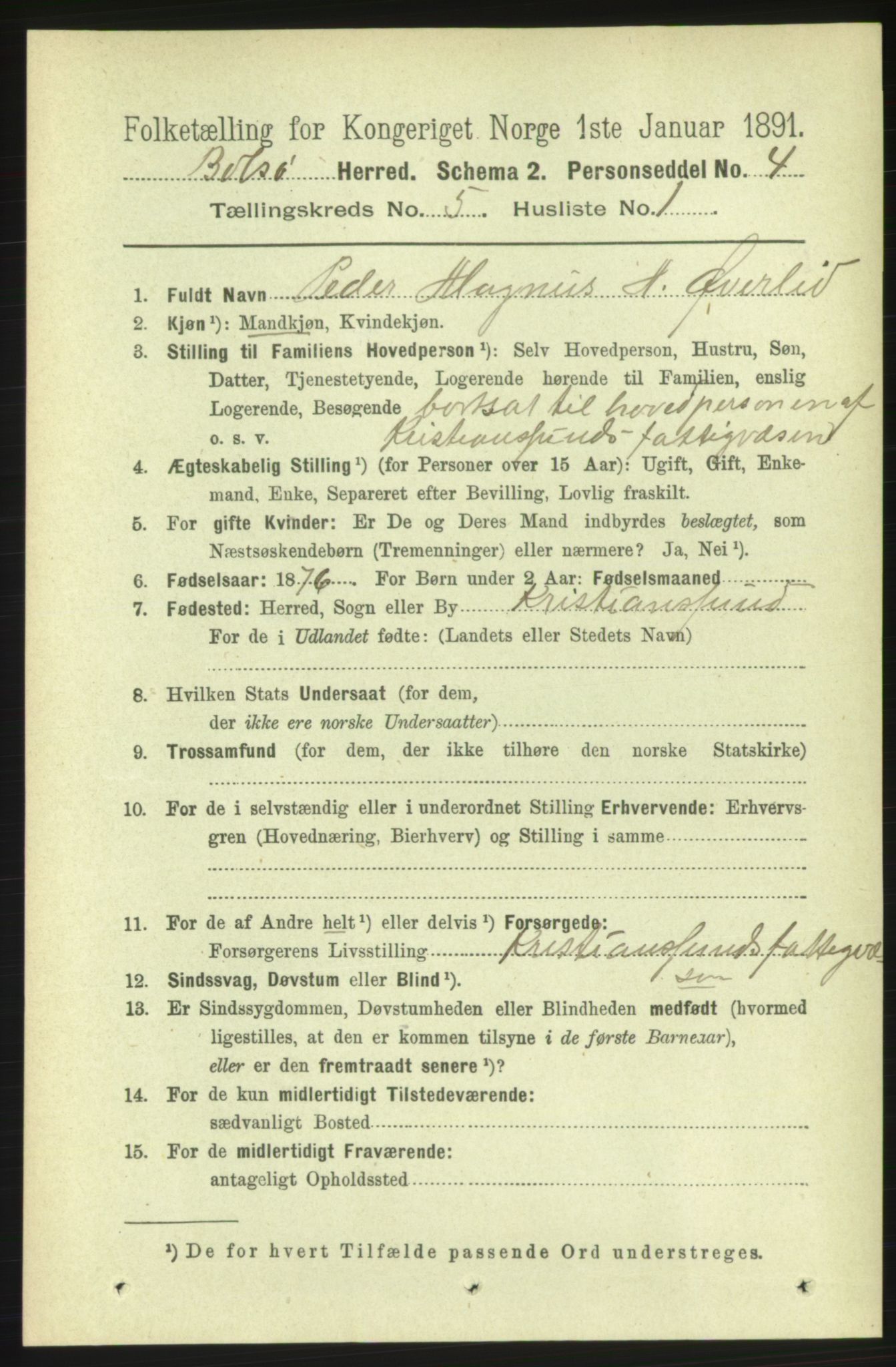 RA, 1891 census for 1544 Bolsøy, 1891, p. 3133