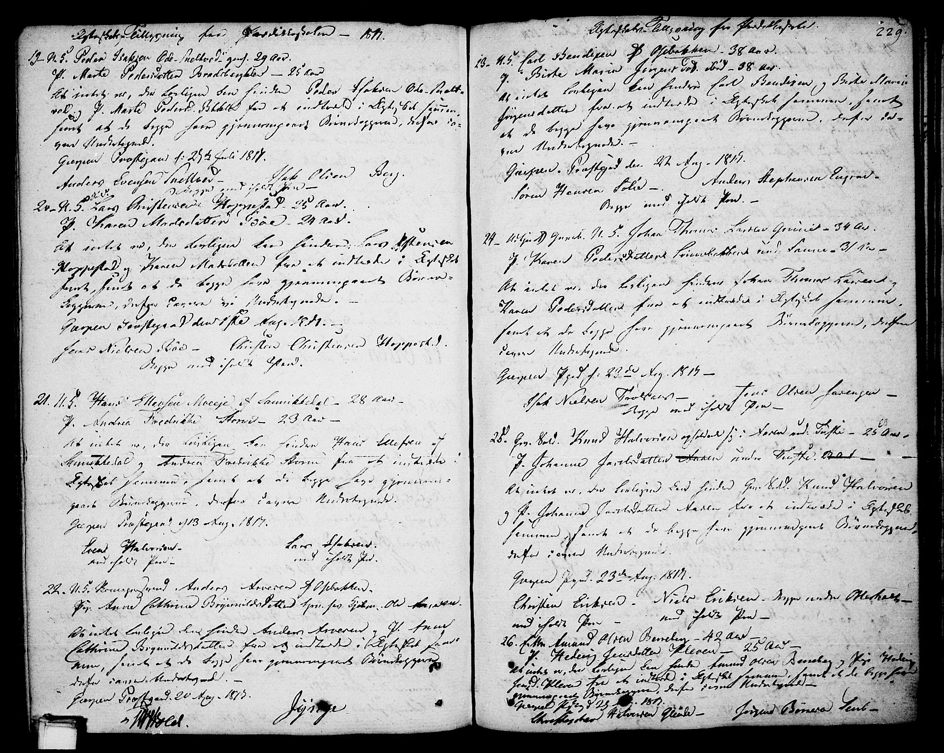 Gjerpen kirkebøker, AV/SAKO-A-265/F/Fa/L0003: Parish register (official) no. I 3, 1796-1814, p. 229