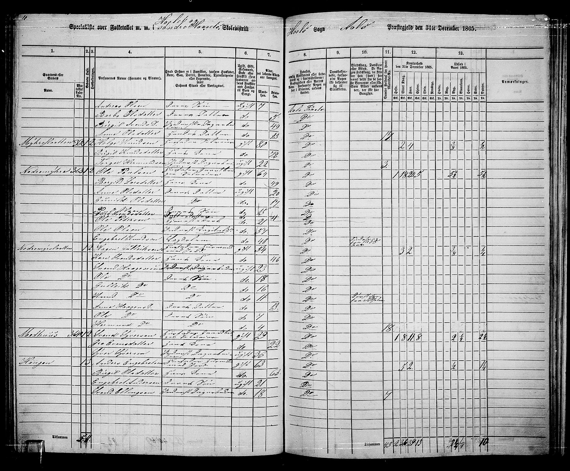 RA, 1865 census for Ål, 1865, p. 185