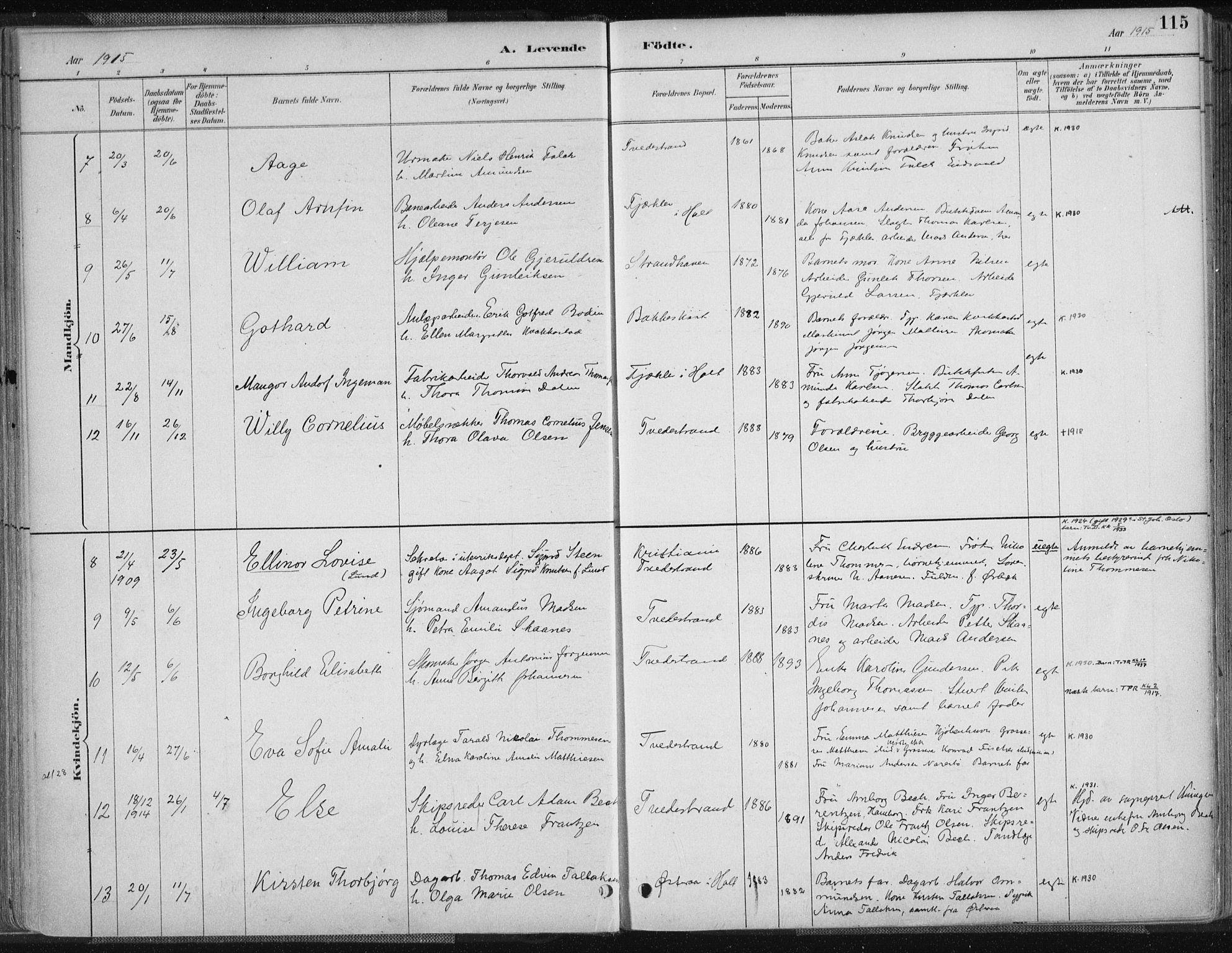 Tvedestrand sokneprestkontor, AV/SAK-1111-0042/F/Fa/L0001: Parish register (official) no. A 1, 1885-1916, p. 115