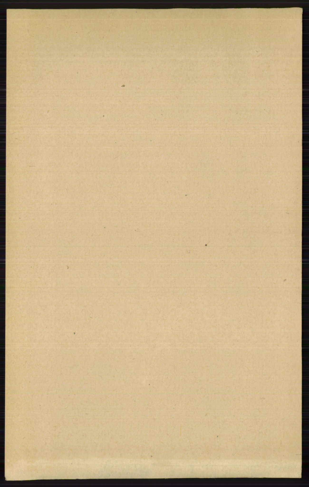 RA, 1891 census for 0632 Rollag, 1891, p. 919