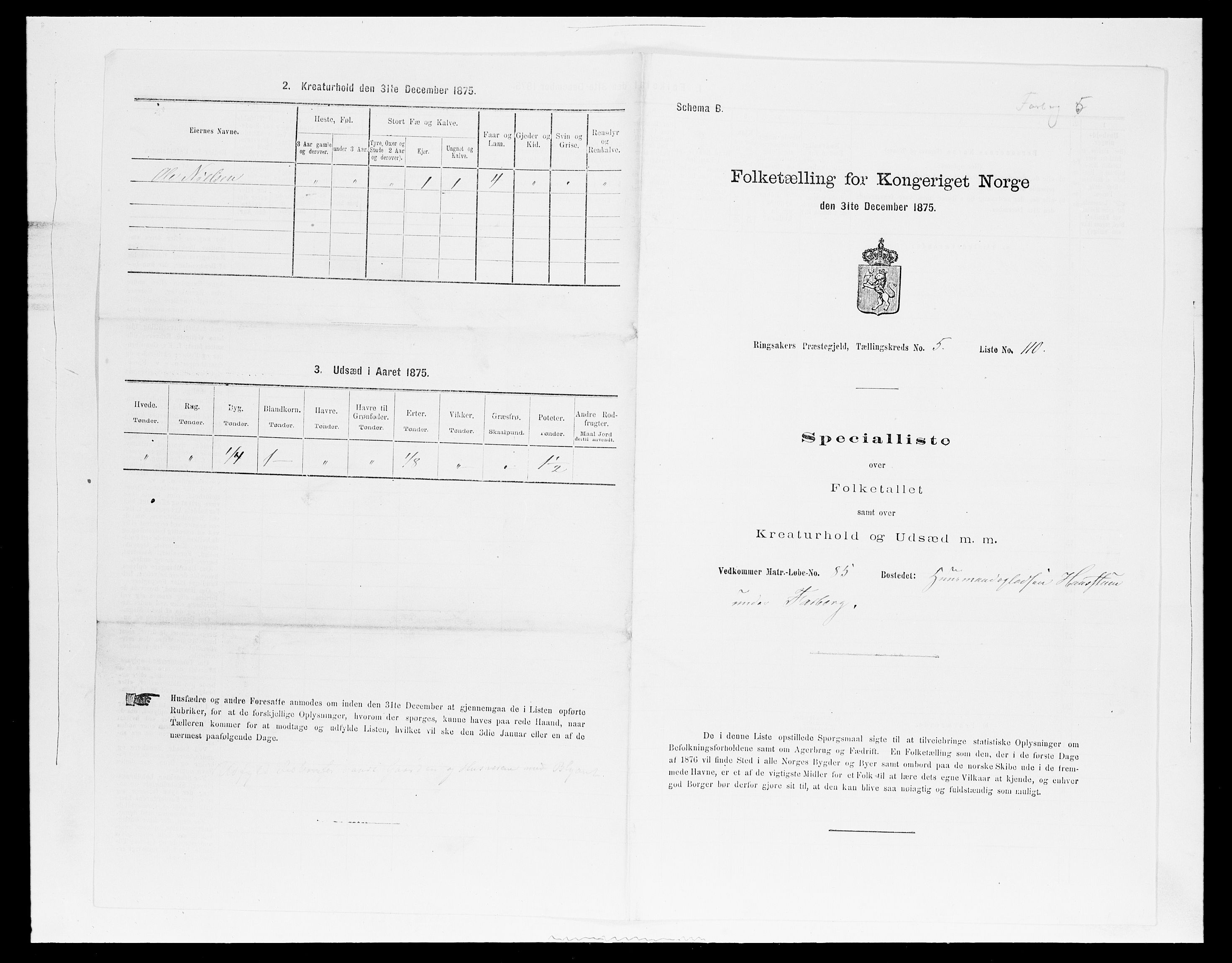 SAH, 1875 census for 0412P Ringsaker, 1875, p. 1149