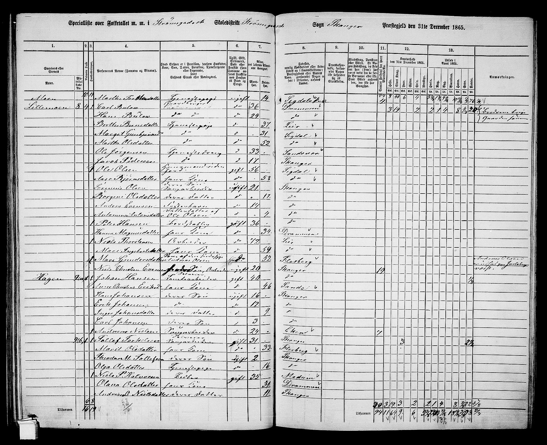 RA, 1865 census for Skoger, 1865, p. 118