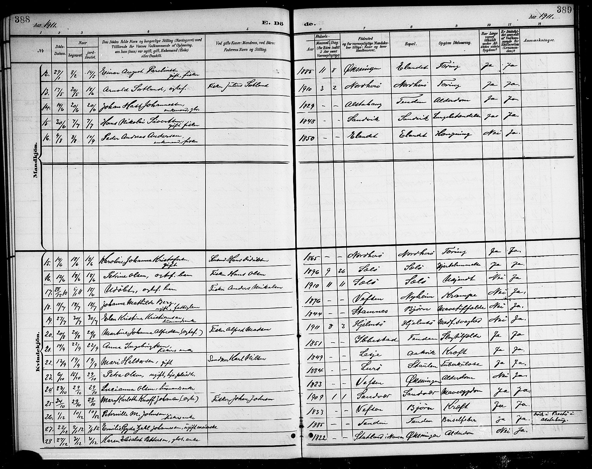 Ministerialprotokoller, klokkerbøker og fødselsregistre - Nordland, SAT/A-1459/834/L0516: Parish register (copy) no. 834C06, 1902-1918, p. 388-389