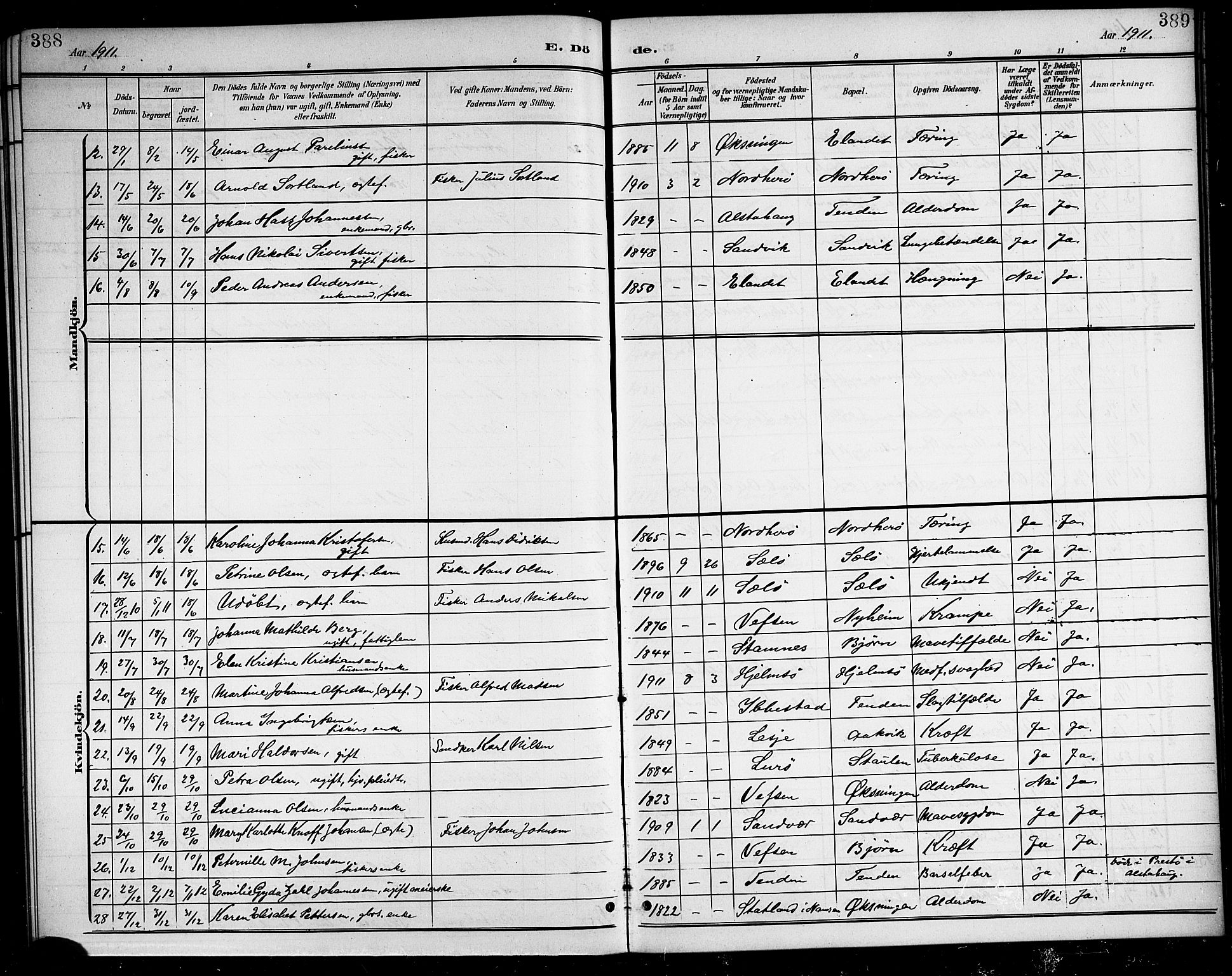 Ministerialprotokoller, klokkerbøker og fødselsregistre - Nordland, AV/SAT-A-1459/834/L0516: Parish register (copy) no. 834C06, 1902-1918, p. 388-389