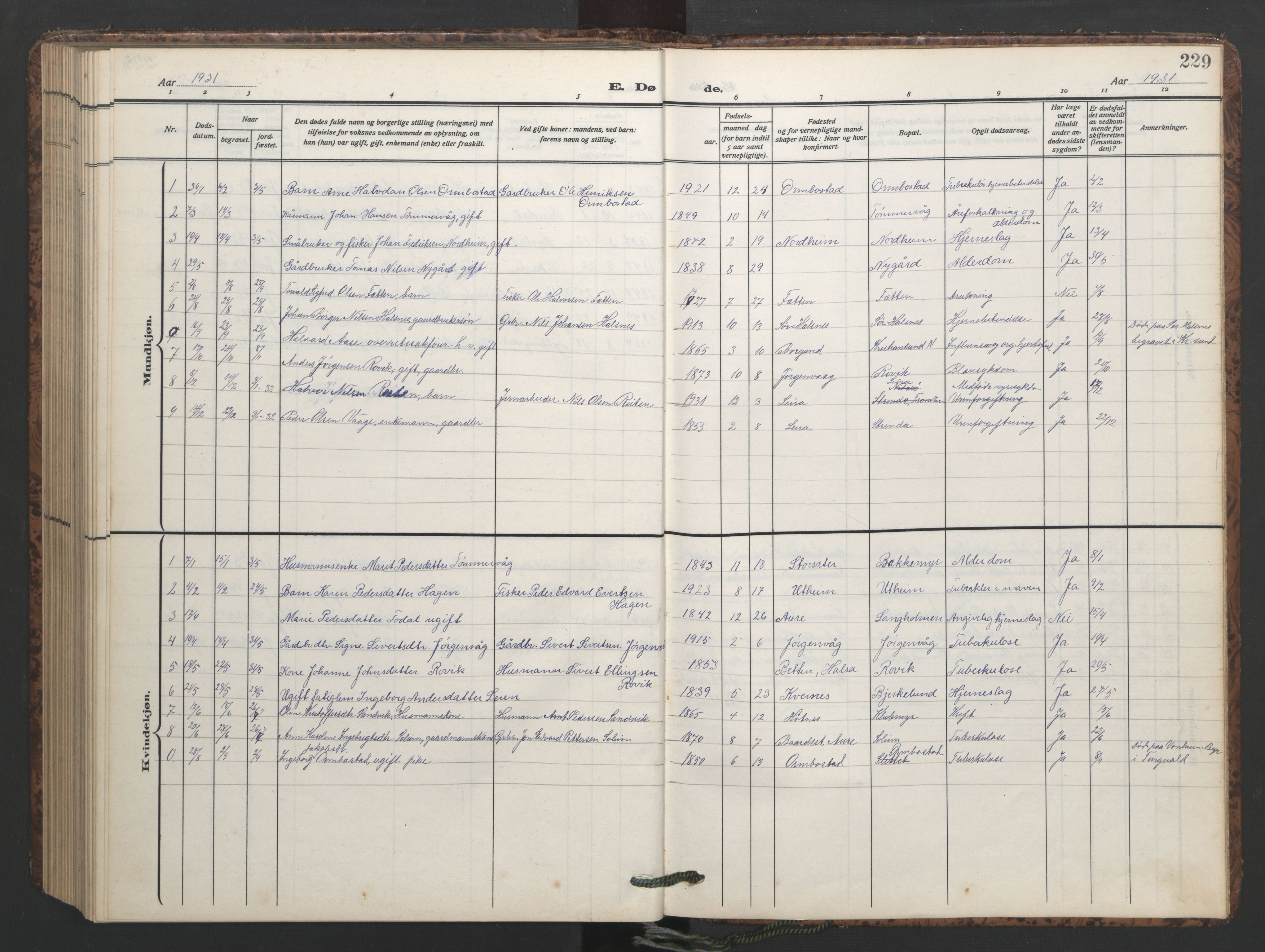 Ministerialprotokoller, klokkerbøker og fødselsregistre - Møre og Romsdal, SAT/A-1454/577/L0897: Parish register (copy) no. 577C01, 1909-1946, p. 229
