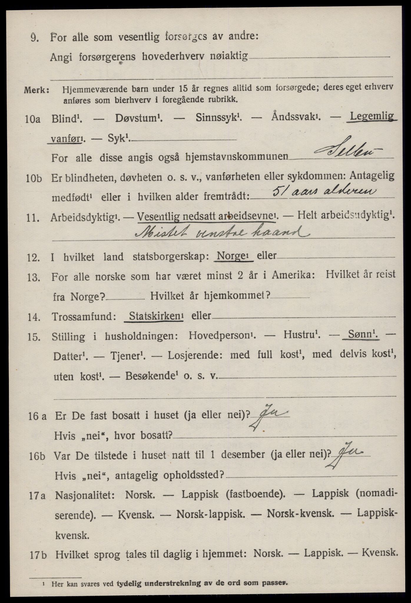 SAT, 1920 census for Selbu, 1920, p. 9669