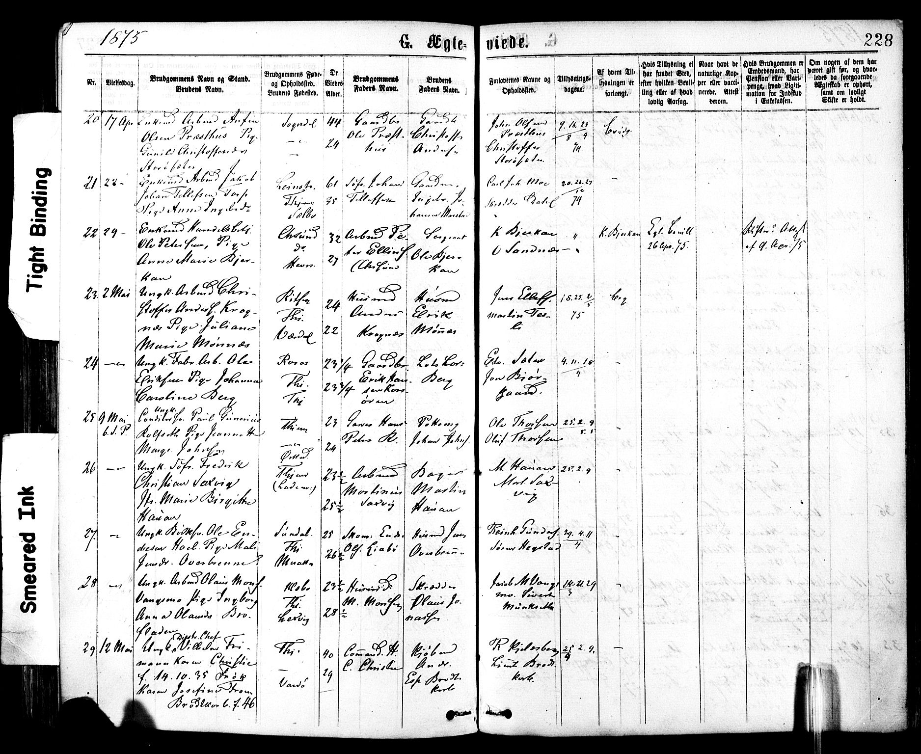 Ministerialprotokoller, klokkerbøker og fødselsregistre - Sør-Trøndelag, AV/SAT-A-1456/602/L0118: Parish register (official) no. 602A16, 1873-1879, p. 228